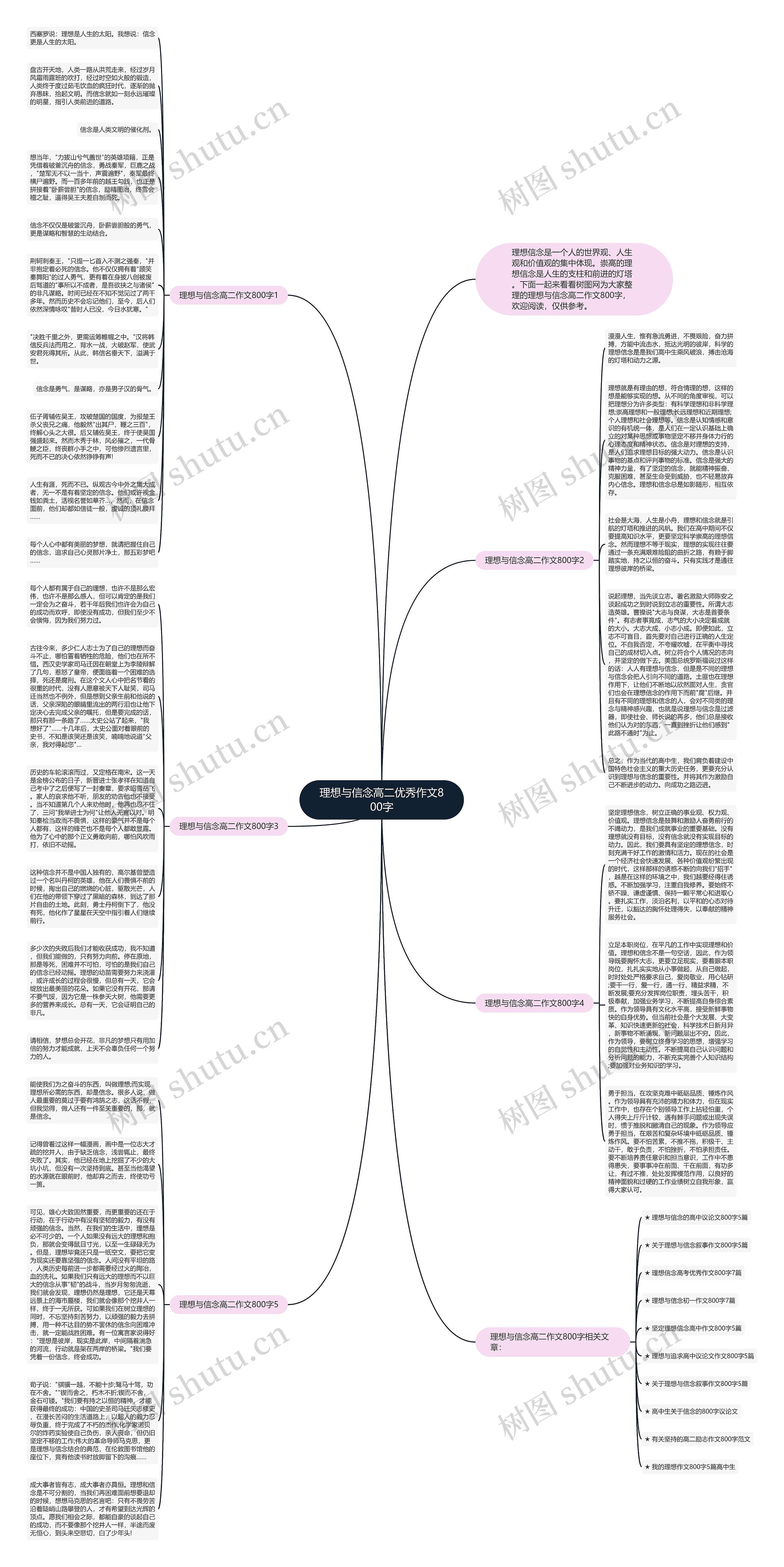 理想与信念高二优秀作文800字思维导图