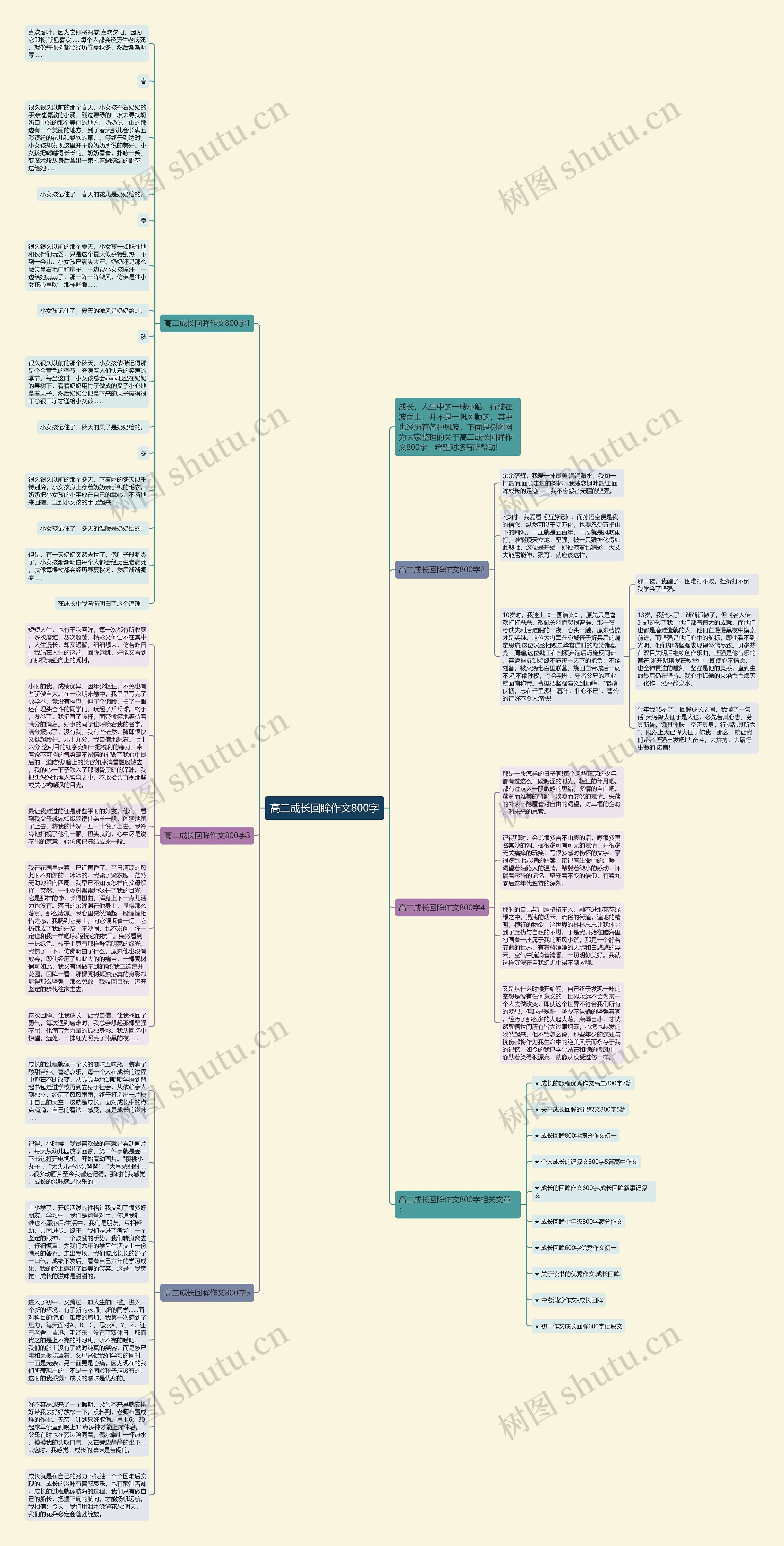 高二成长回眸作文800字思维导图