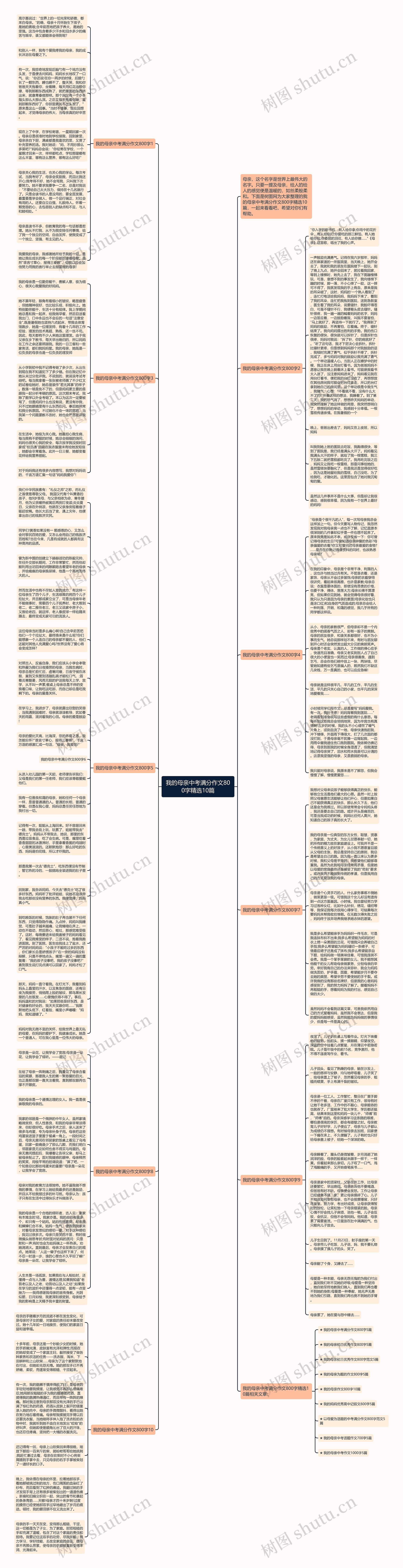 我的母亲中考满分作文800字精选10篇思维导图