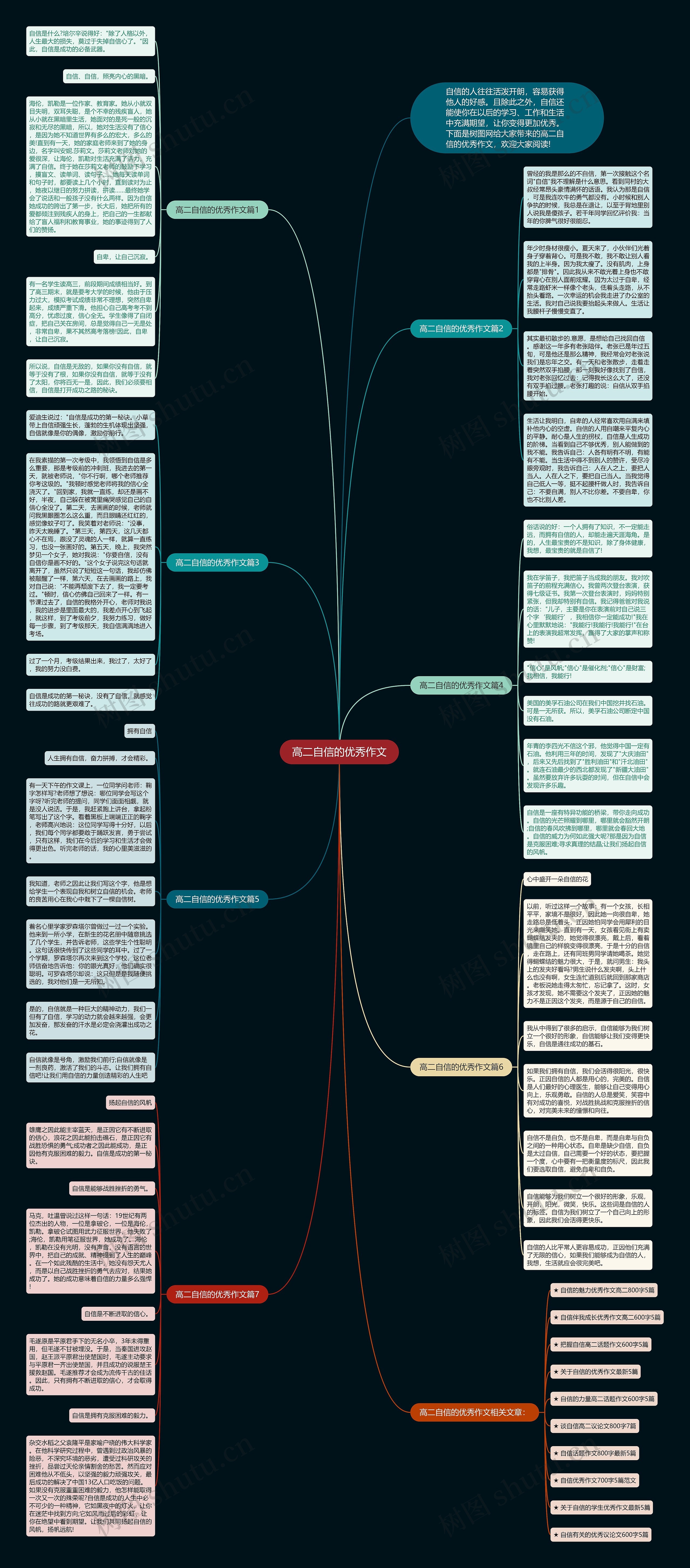高二自信的优秀作文思维导图