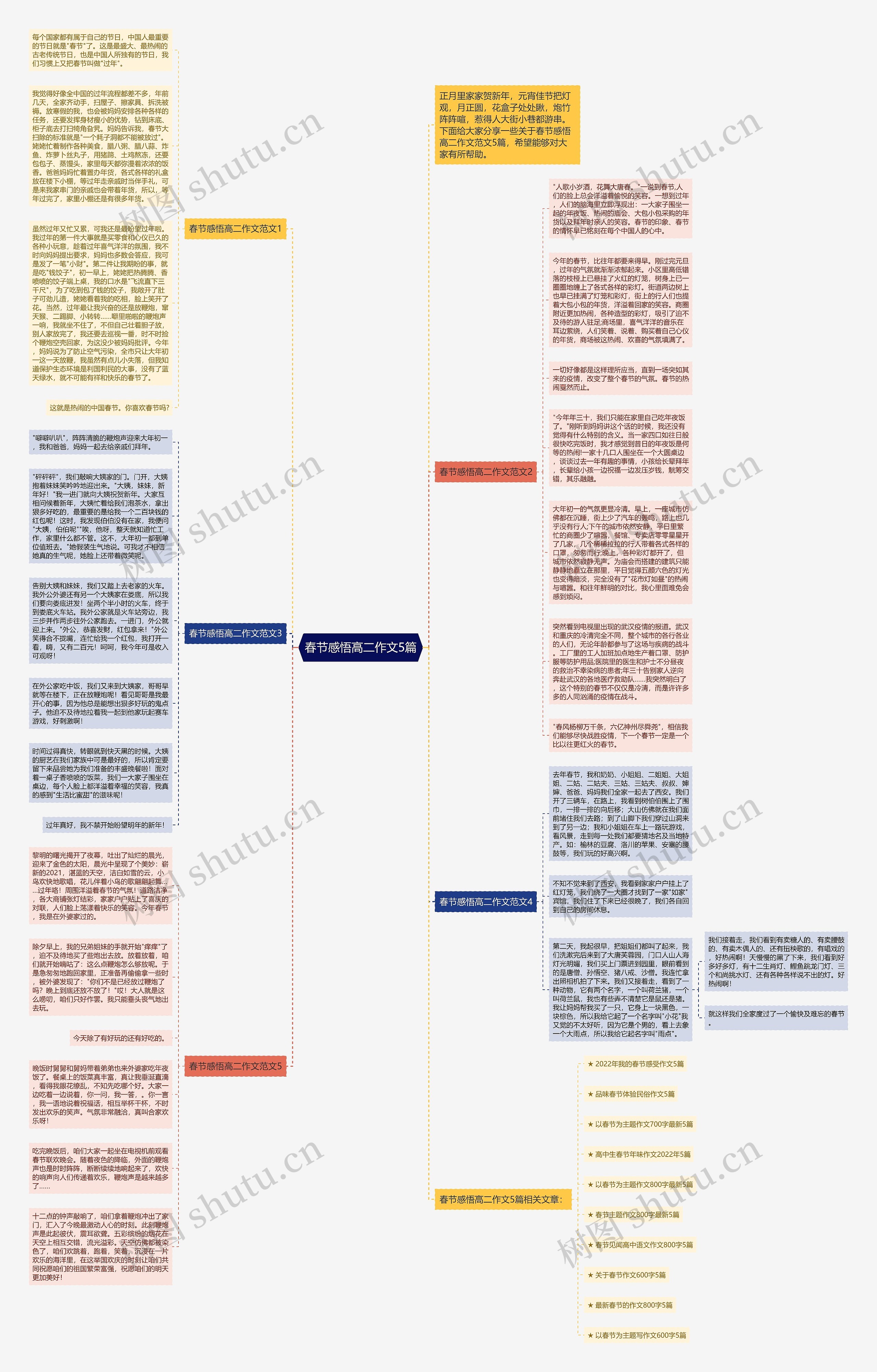 春节感悟高二作文5篇思维导图
