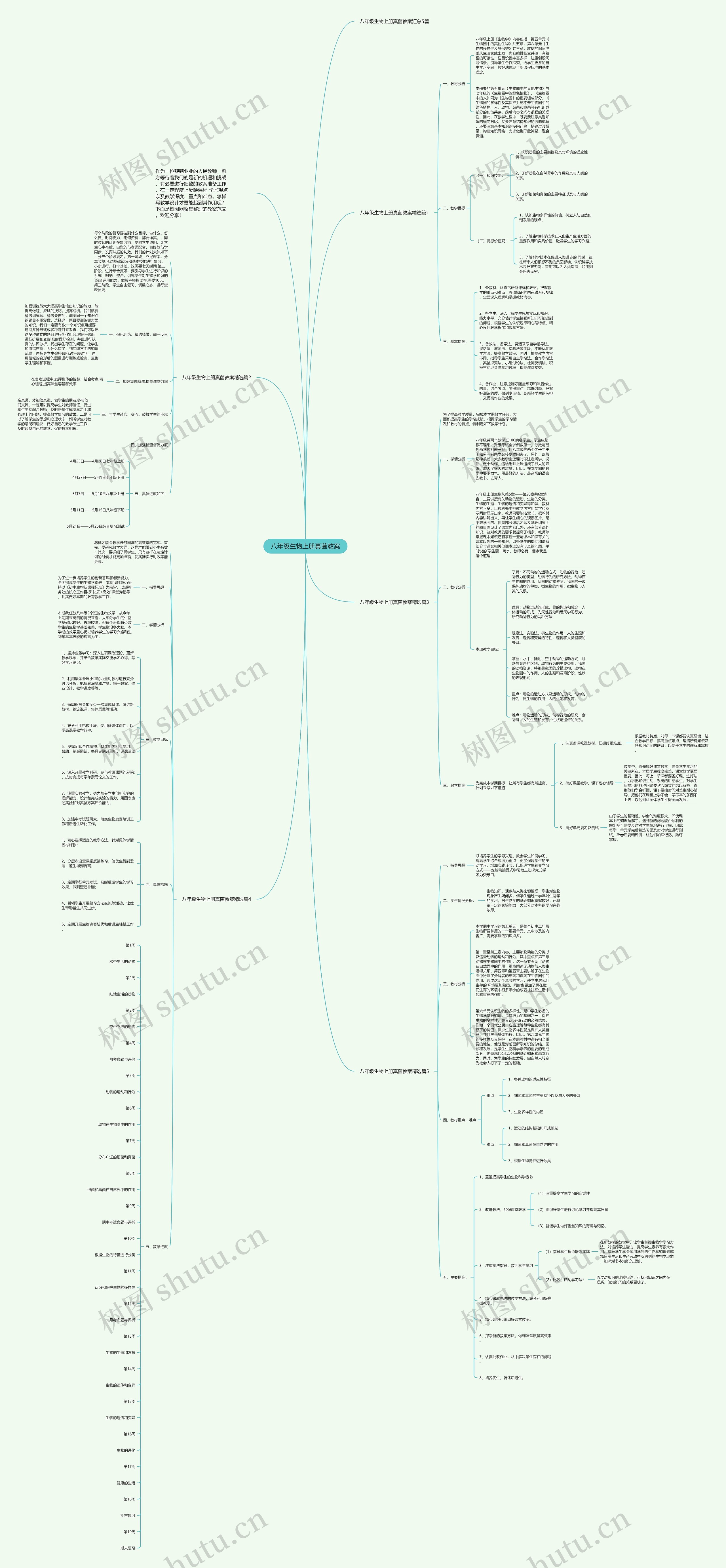 八年级生物上册真菌教案思维导图高清图 八年级生物上册真菌教案思维导图