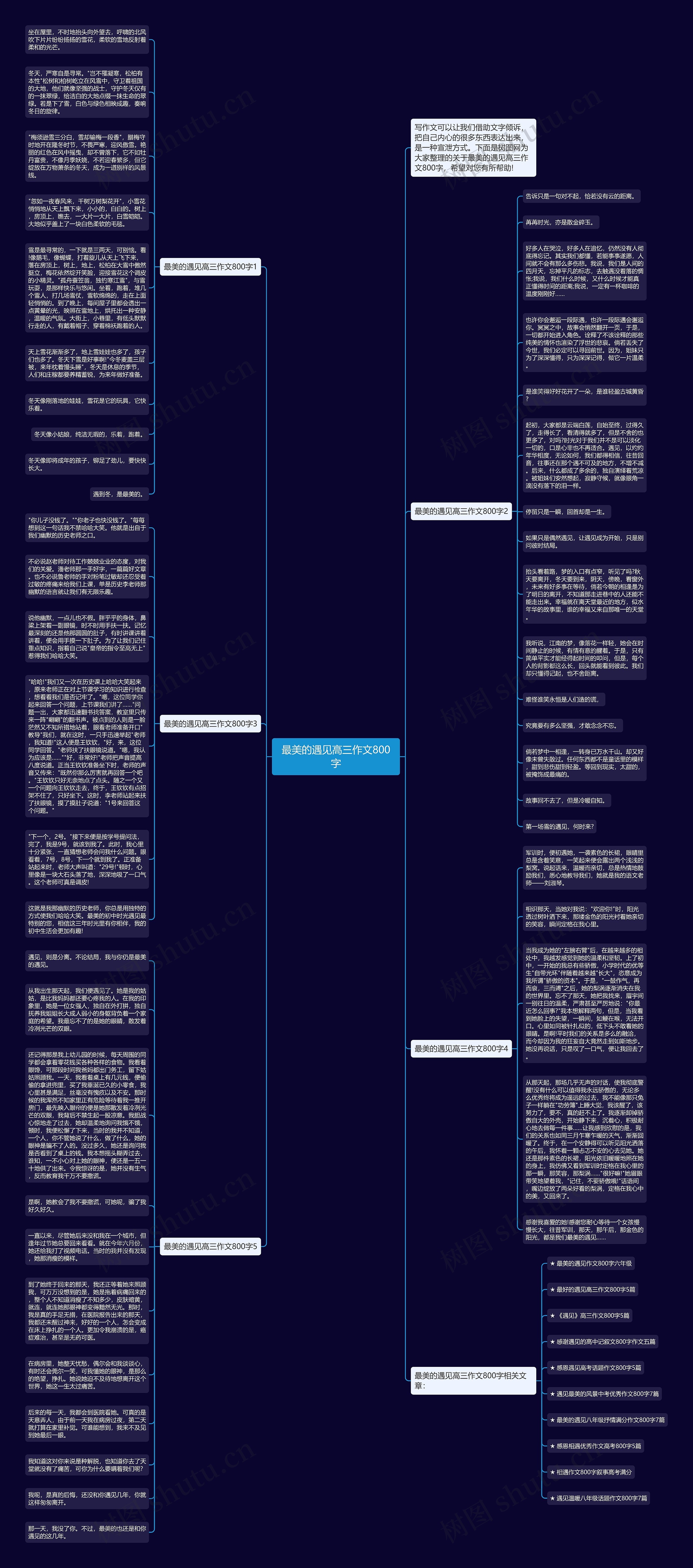 最美的遇见高三作文800字思维导图