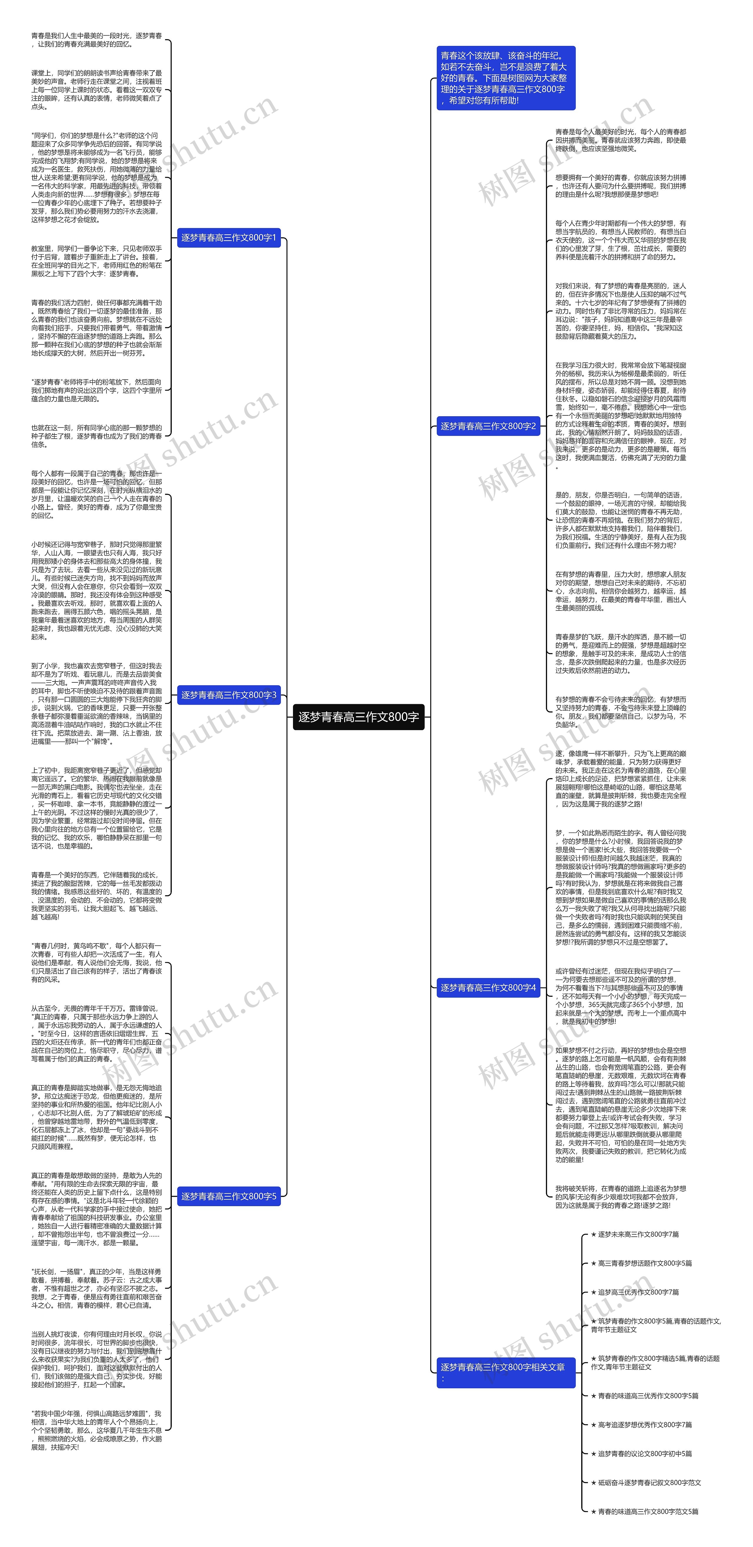 逐梦青春高三作文800字思维导图