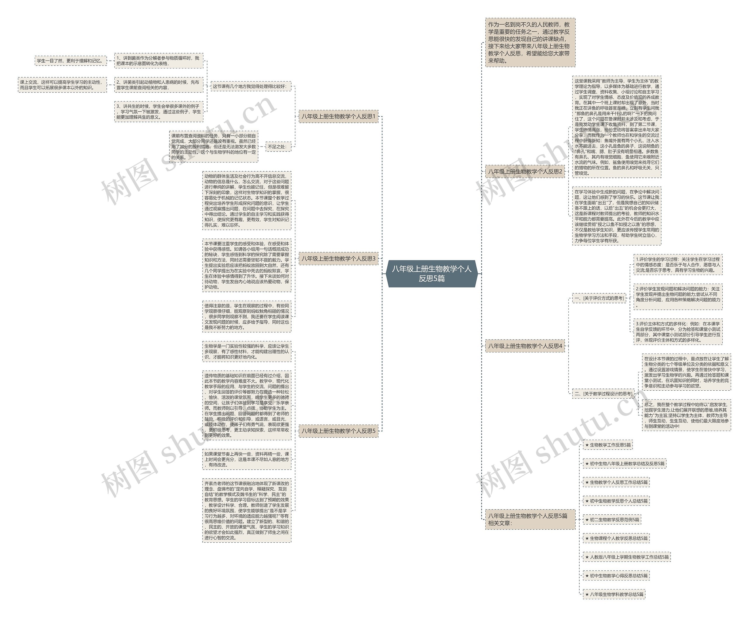 八年级上册生物教学个人反思5篇思维导图