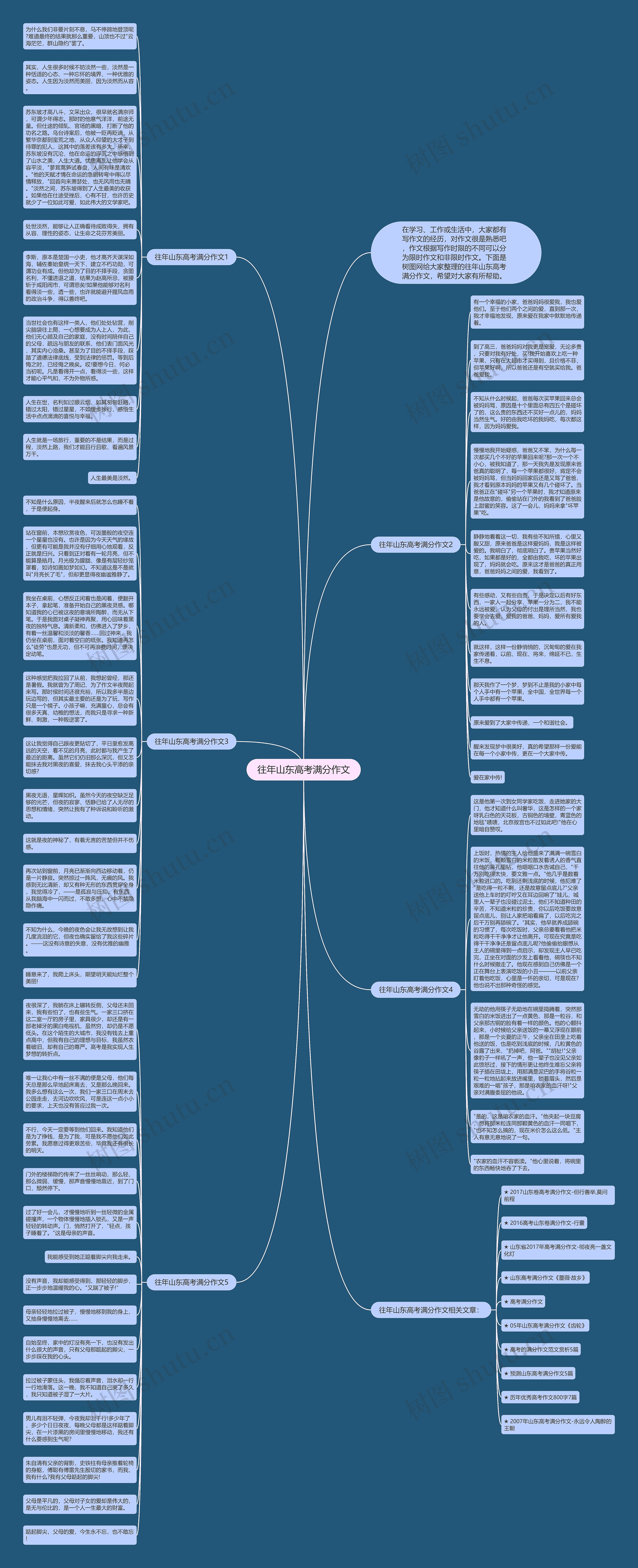 往年山东高考满分作文思维导图