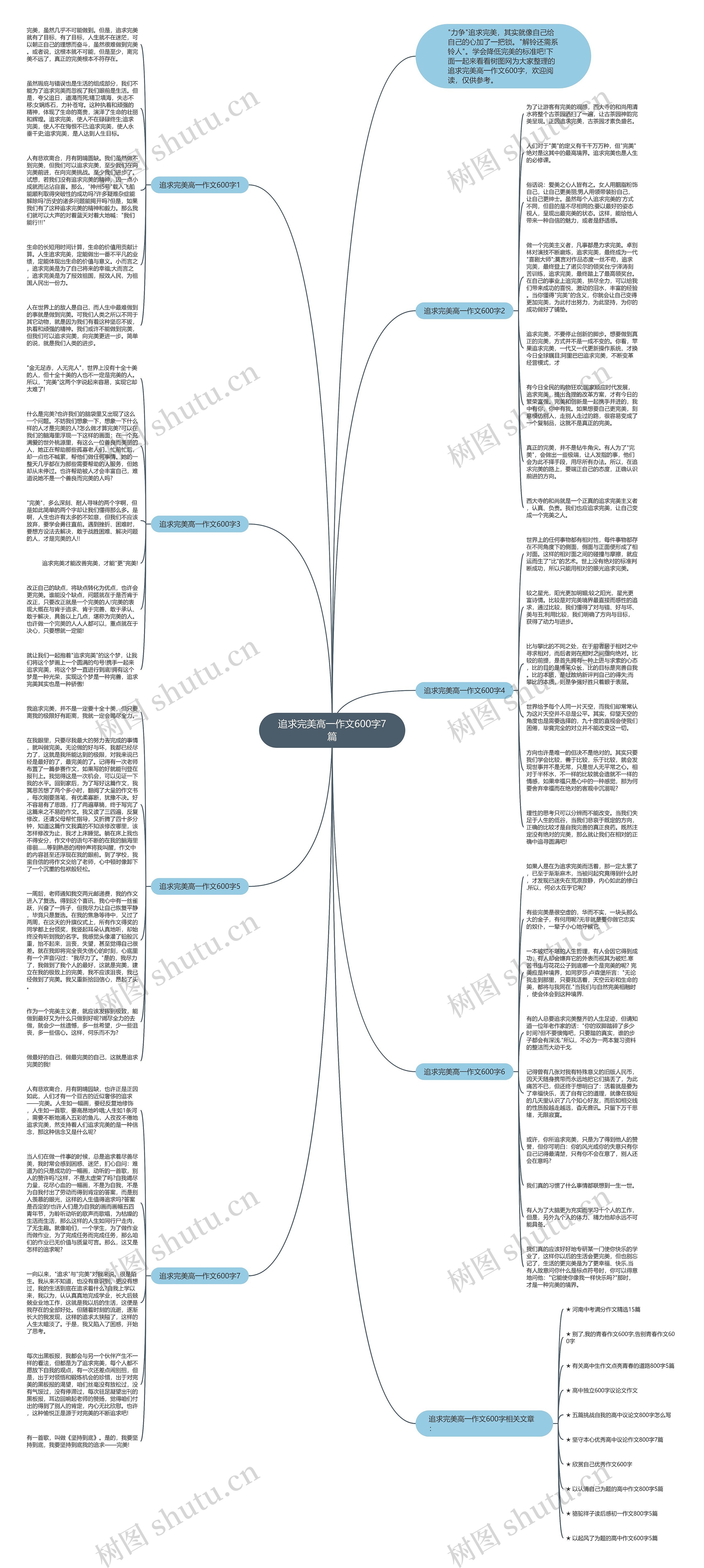 追求完美高一作文600字7篇思维导图