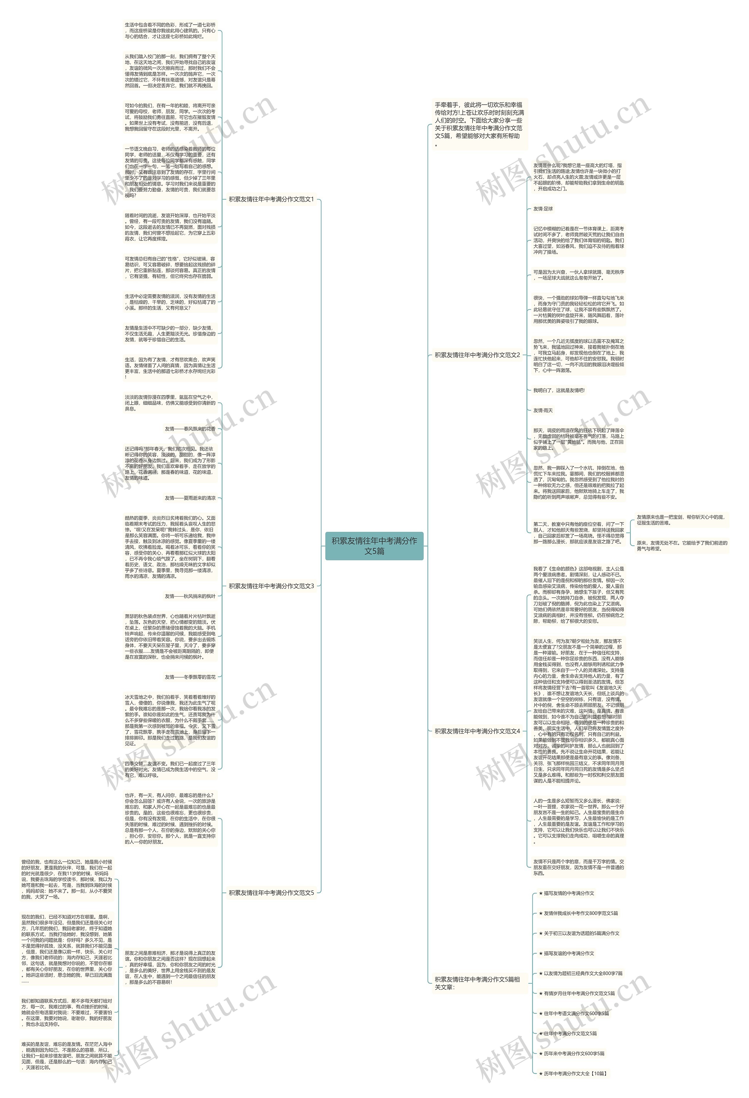 积累友情往年中考满分作文5篇思维导图
