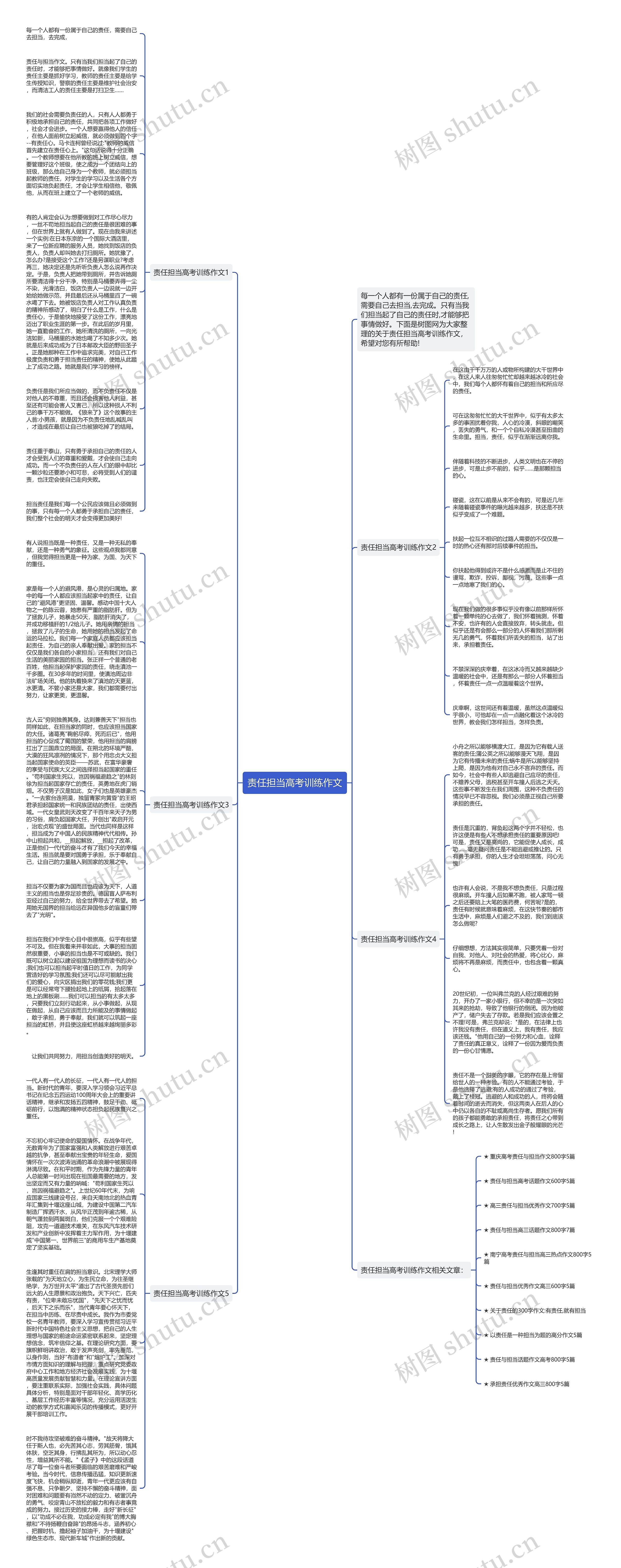责任担当高考训练作文思维导图