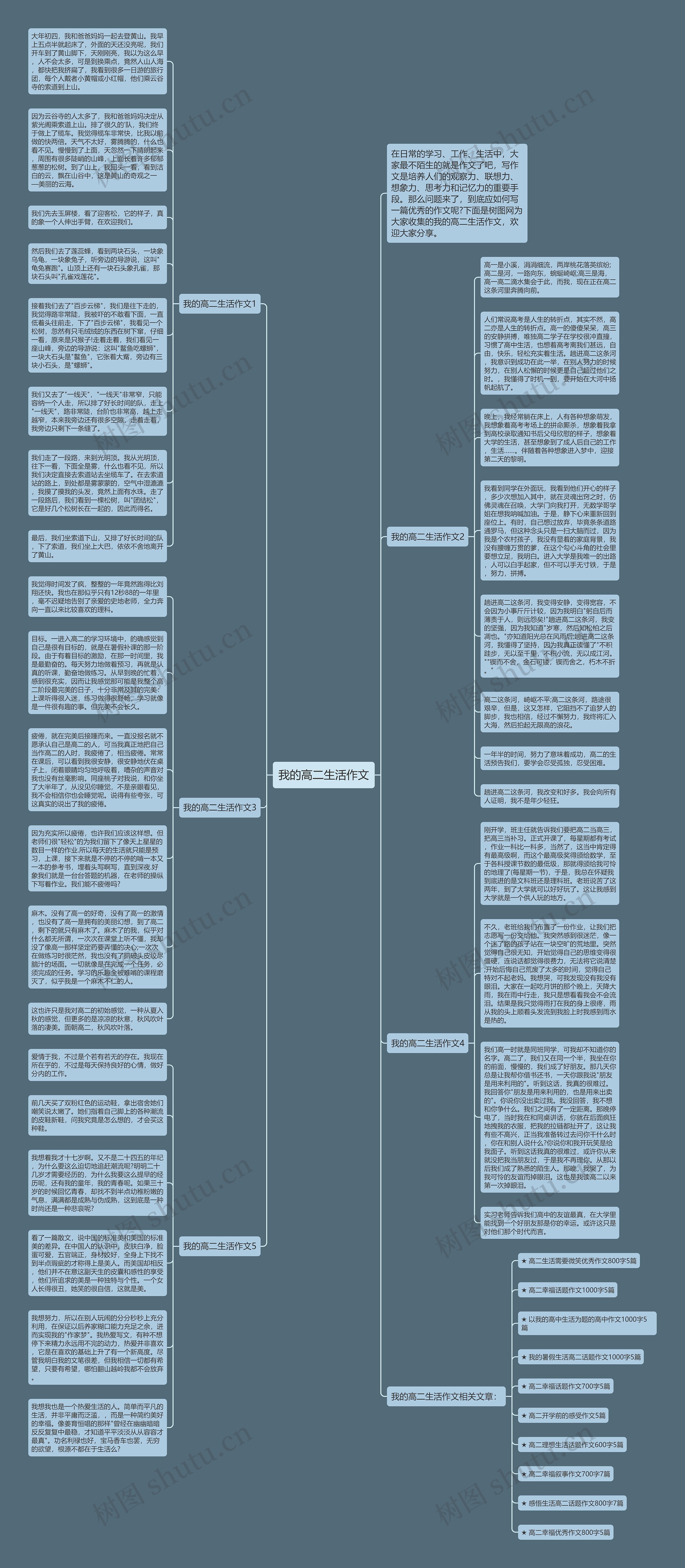我的高二生活作文思维导图