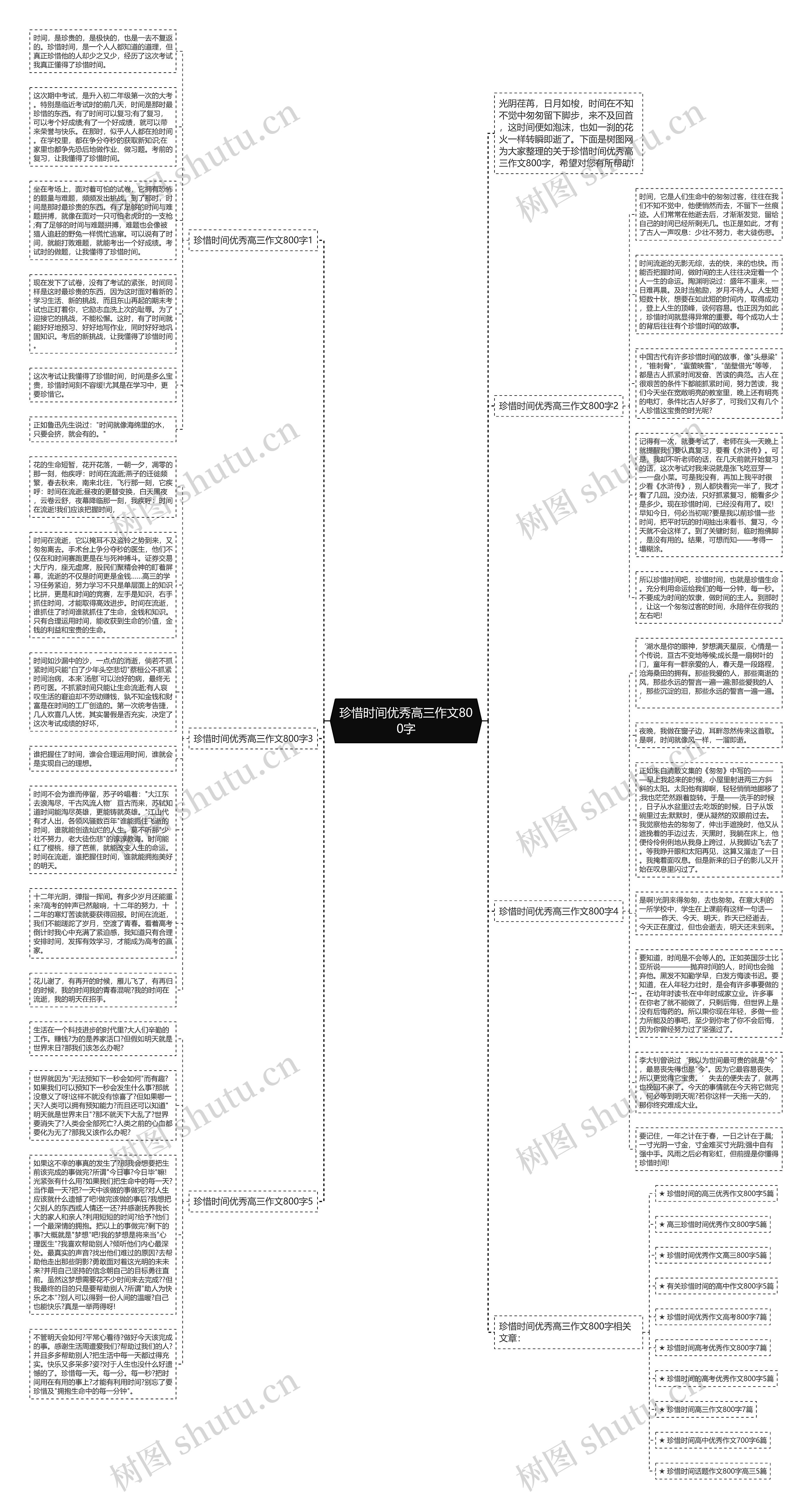 珍惜时间优秀高三作文800字思维导图