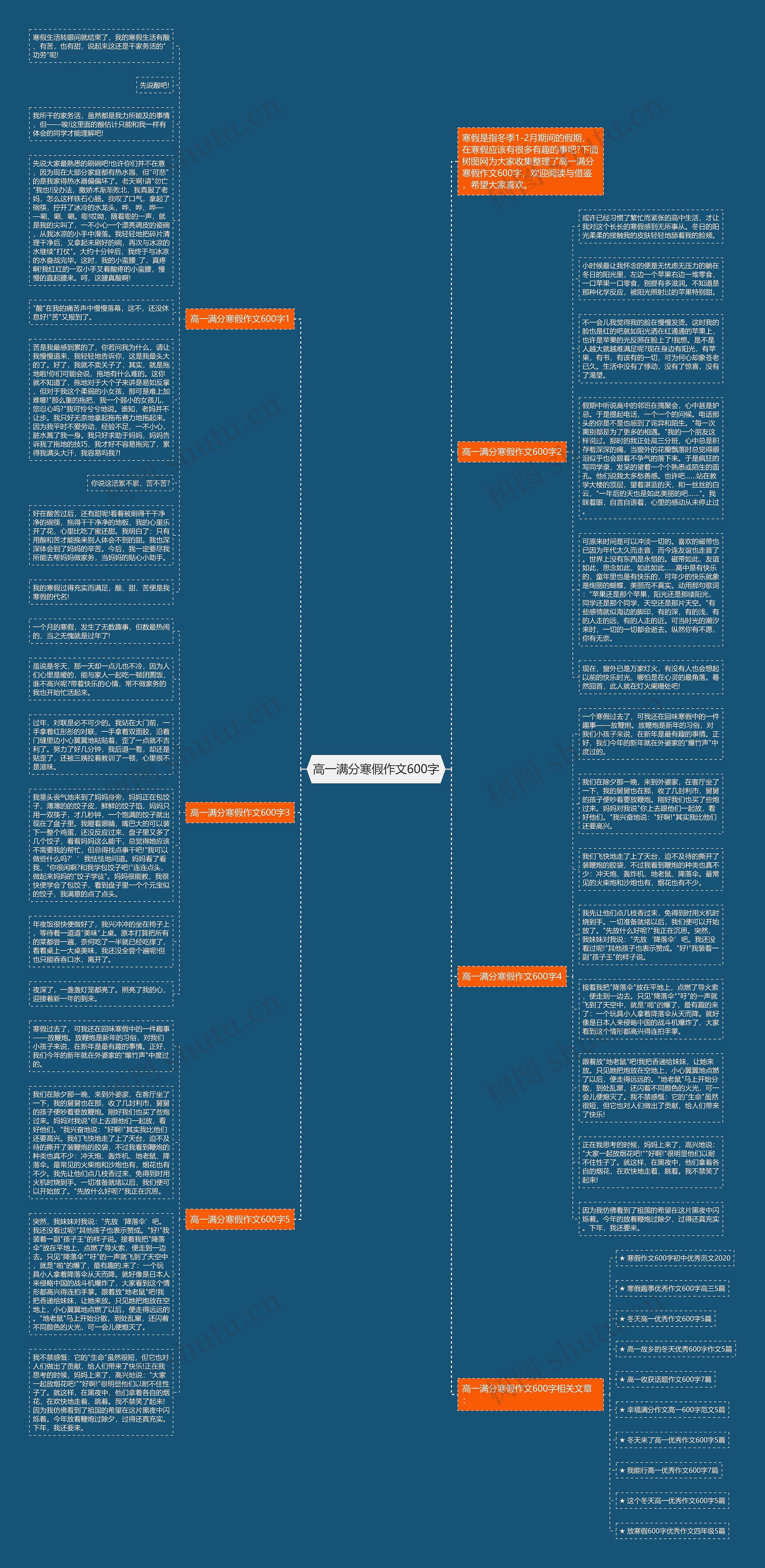 高一满分寒假作文600字思维导图