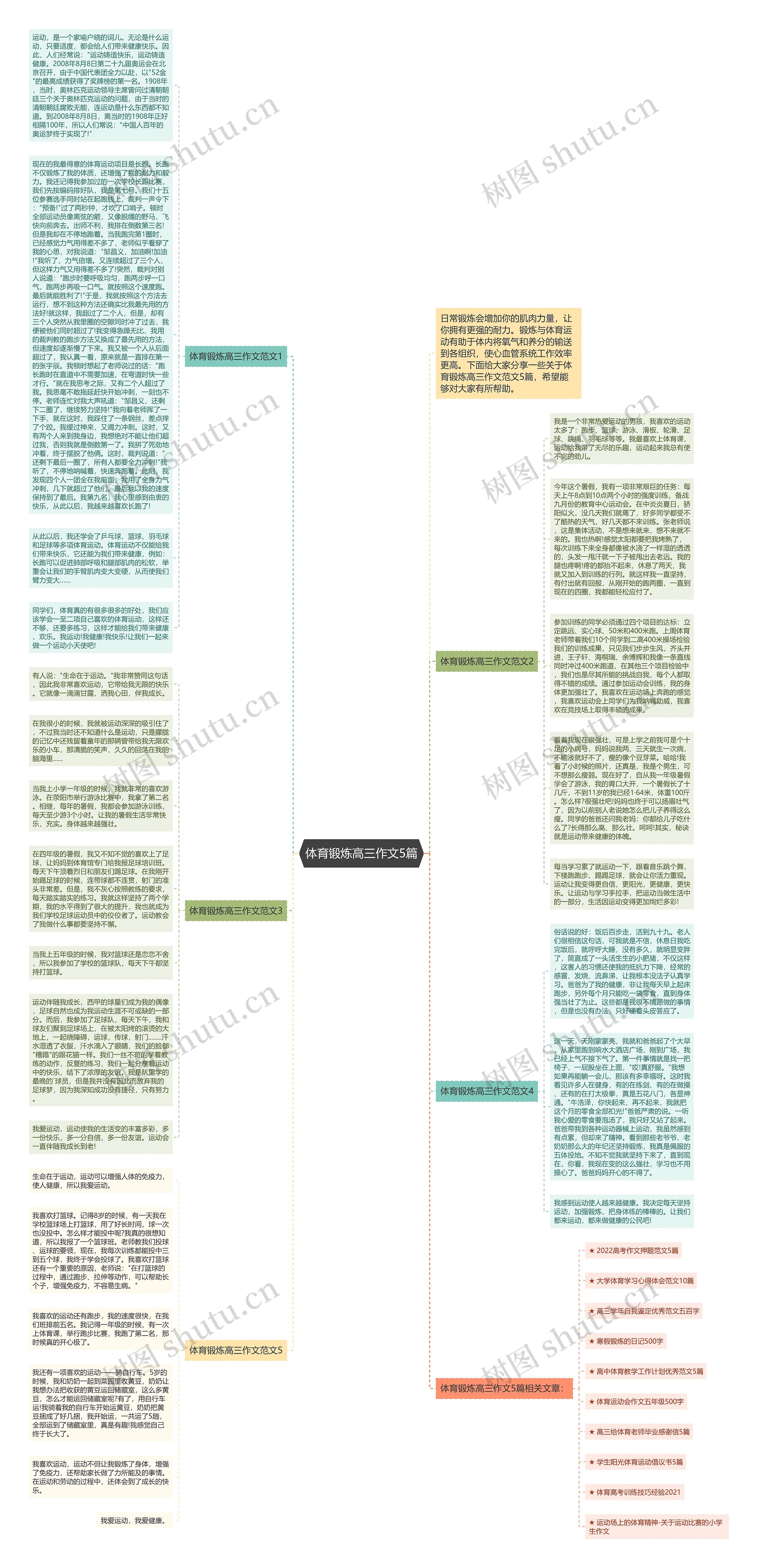 体育锻炼高三作文5篇思维导图