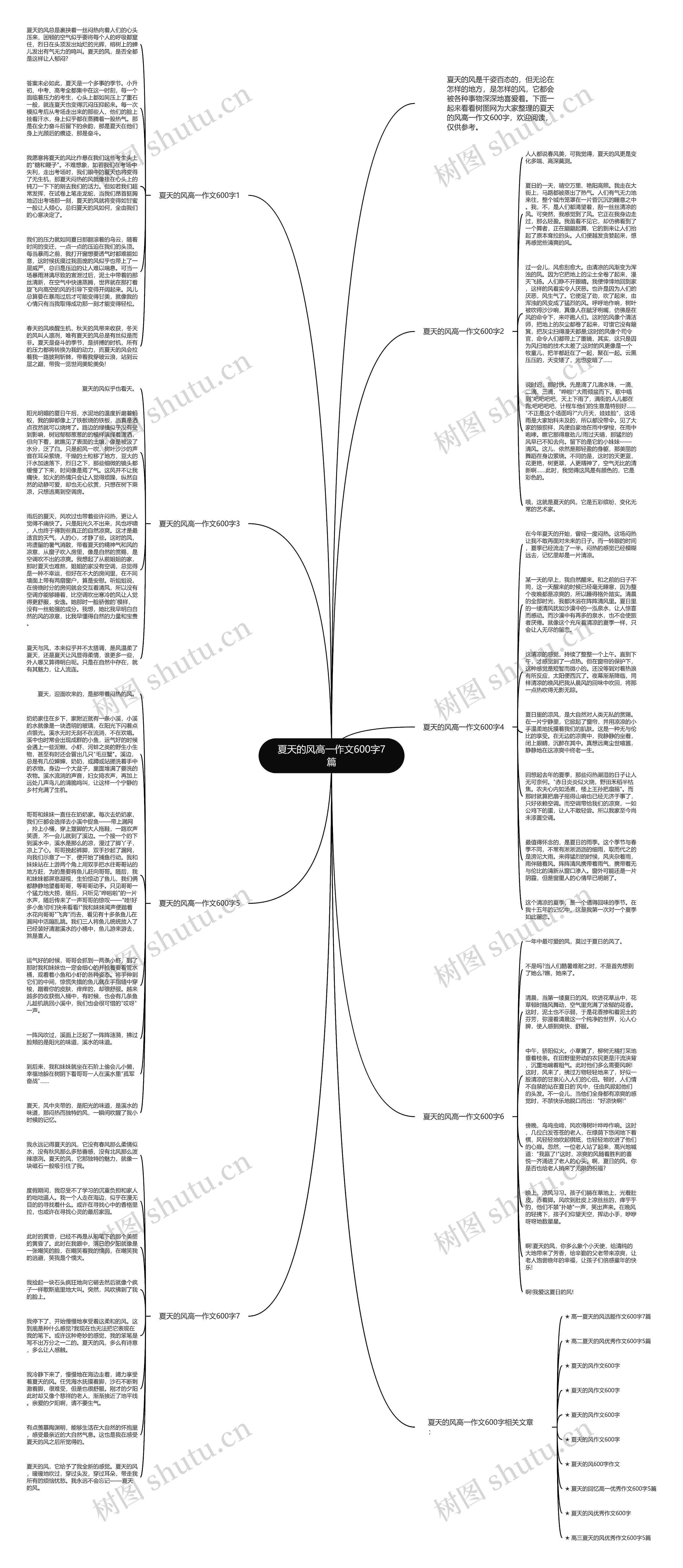夏天的风高一作文600字7篇思维导图