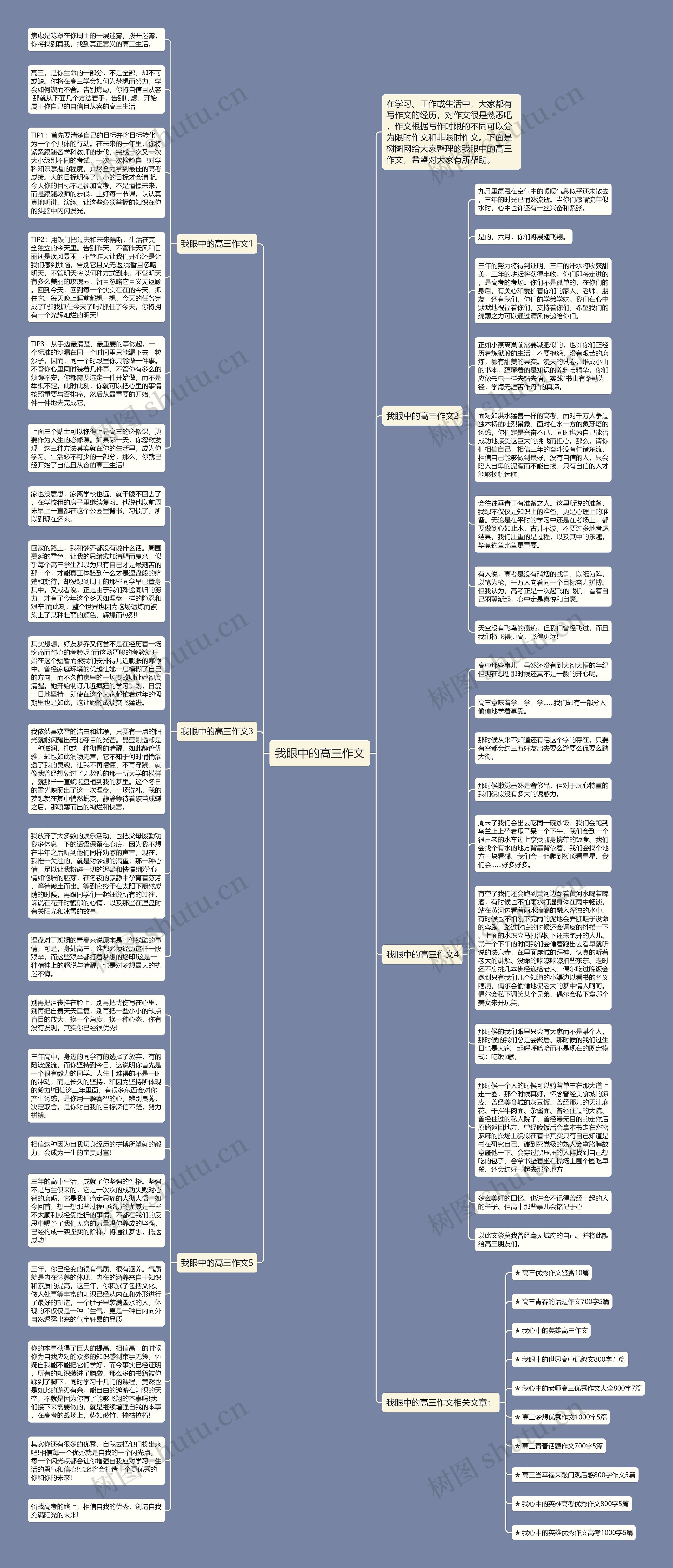 我眼中的高三作文思维导图