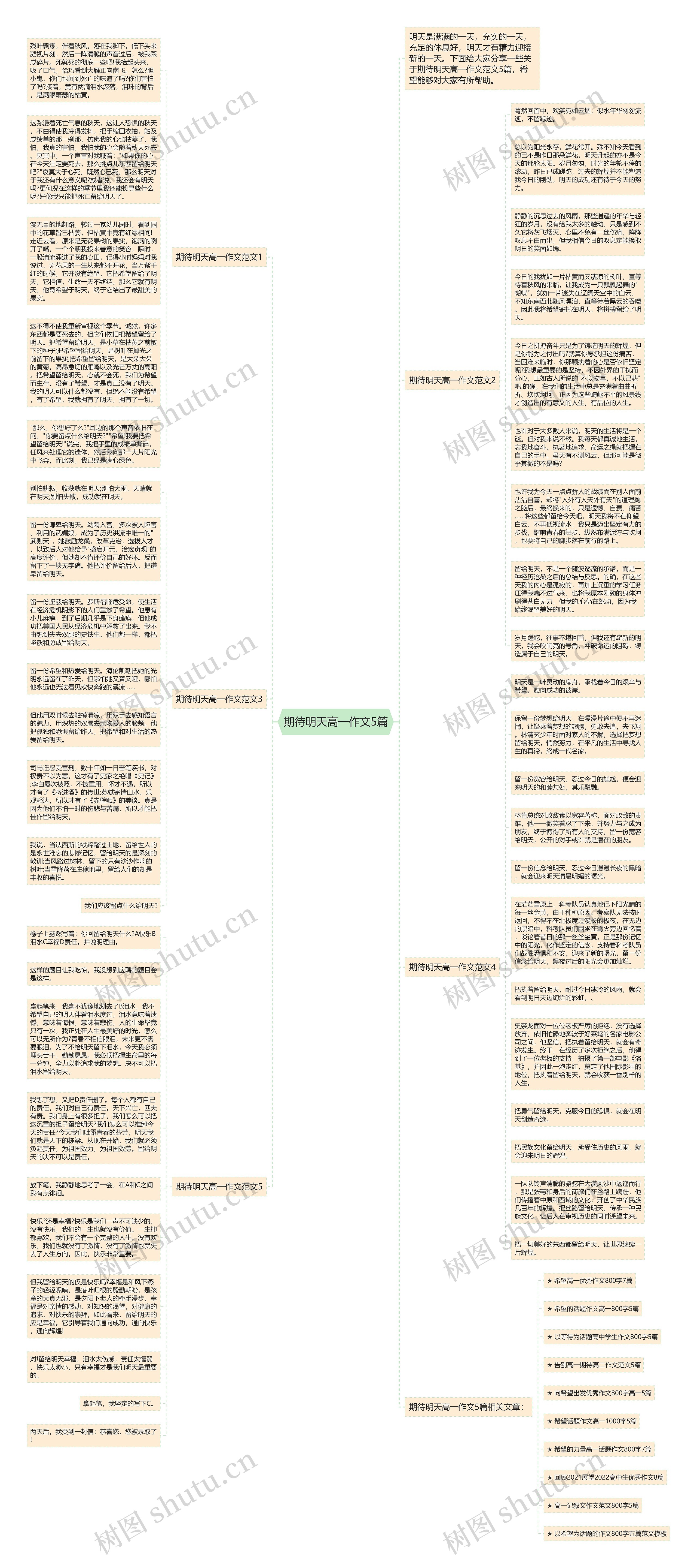 期待明天高一作文5篇思维导图