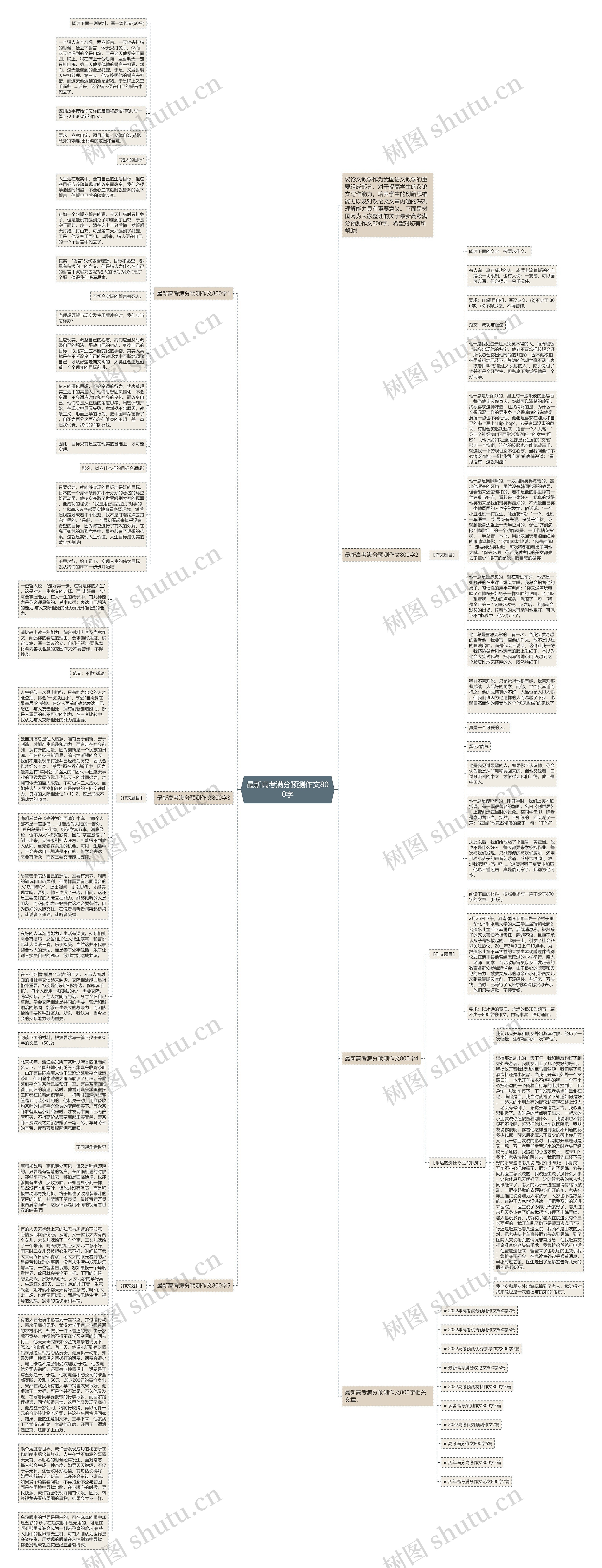 最新高考满分预测作文800字思维导图