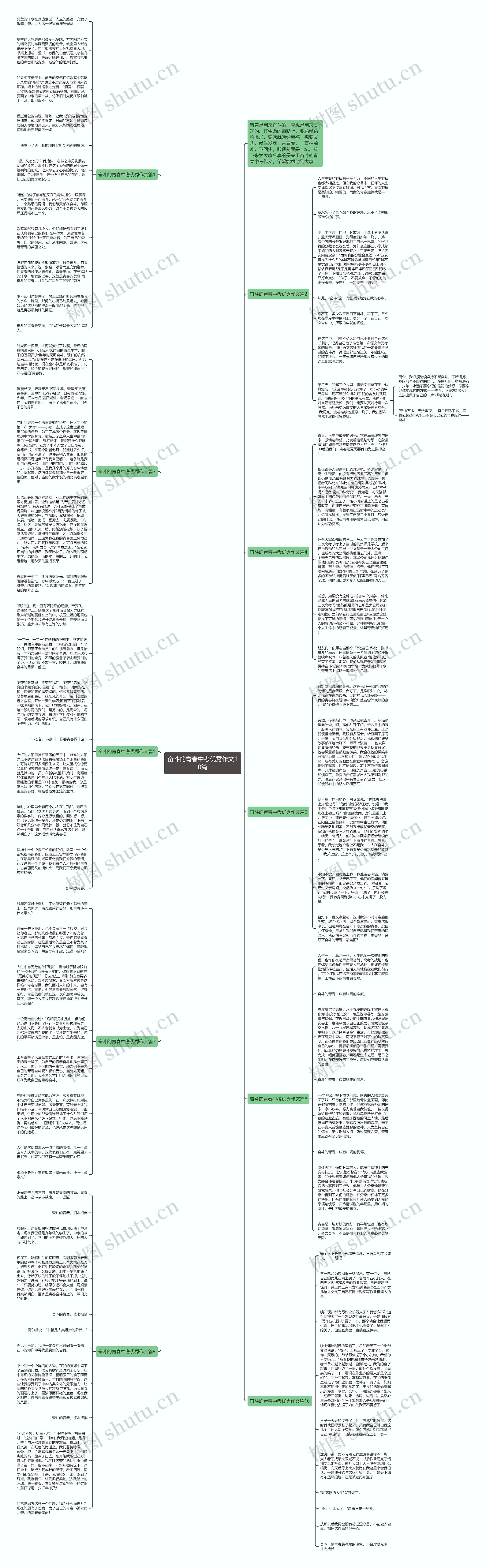 奋斗的青春中考优秀作文10篇思维导图