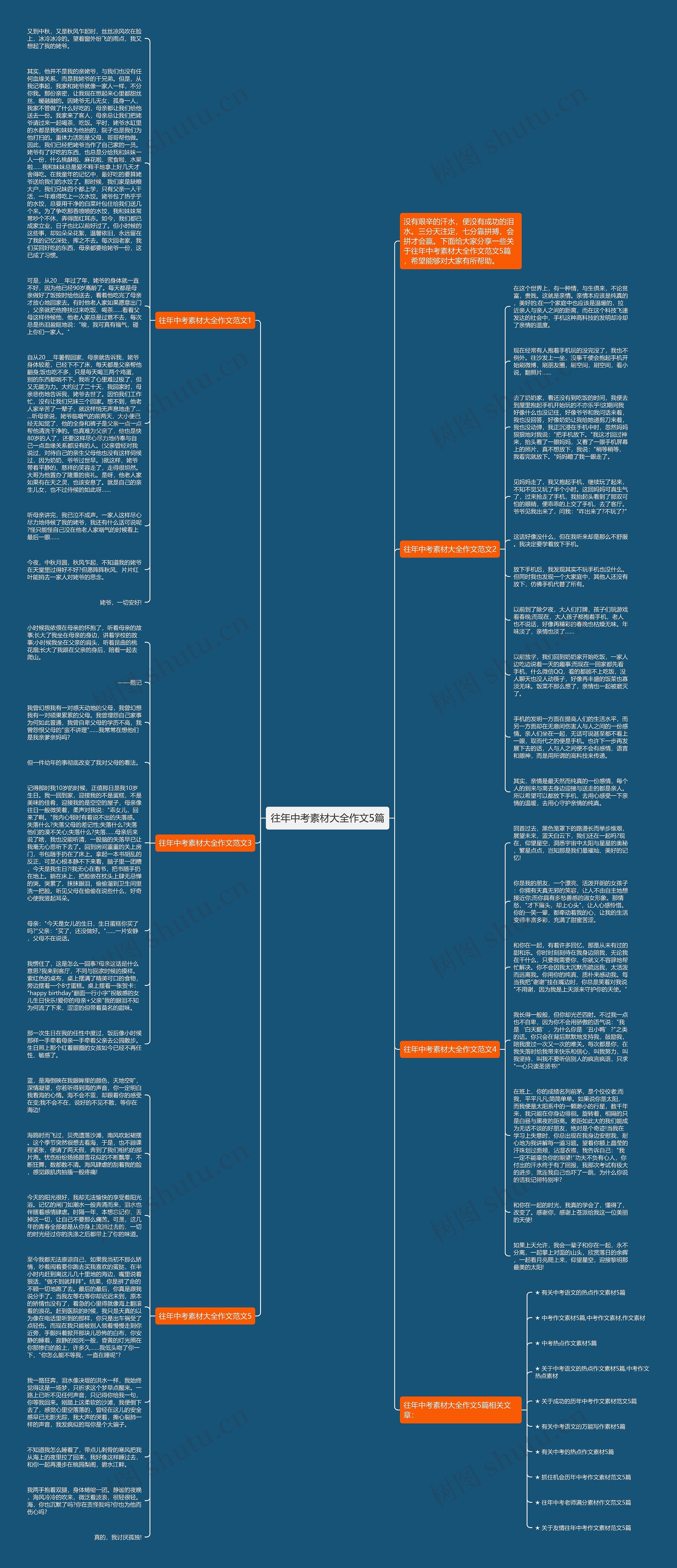 往年中考素材大全作文5篇思维导图