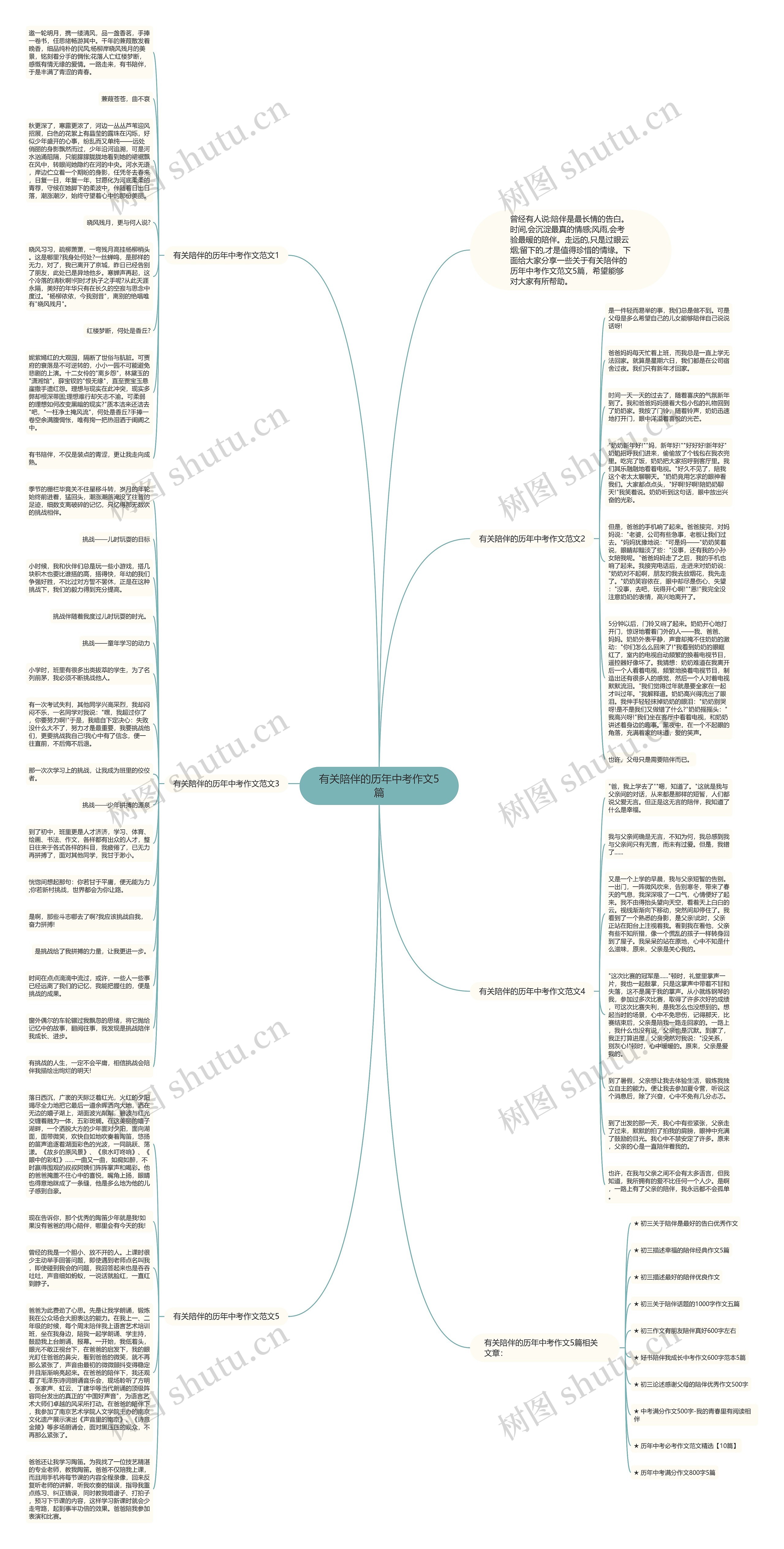 有关陪伴的历年中考作文5篇思维导图