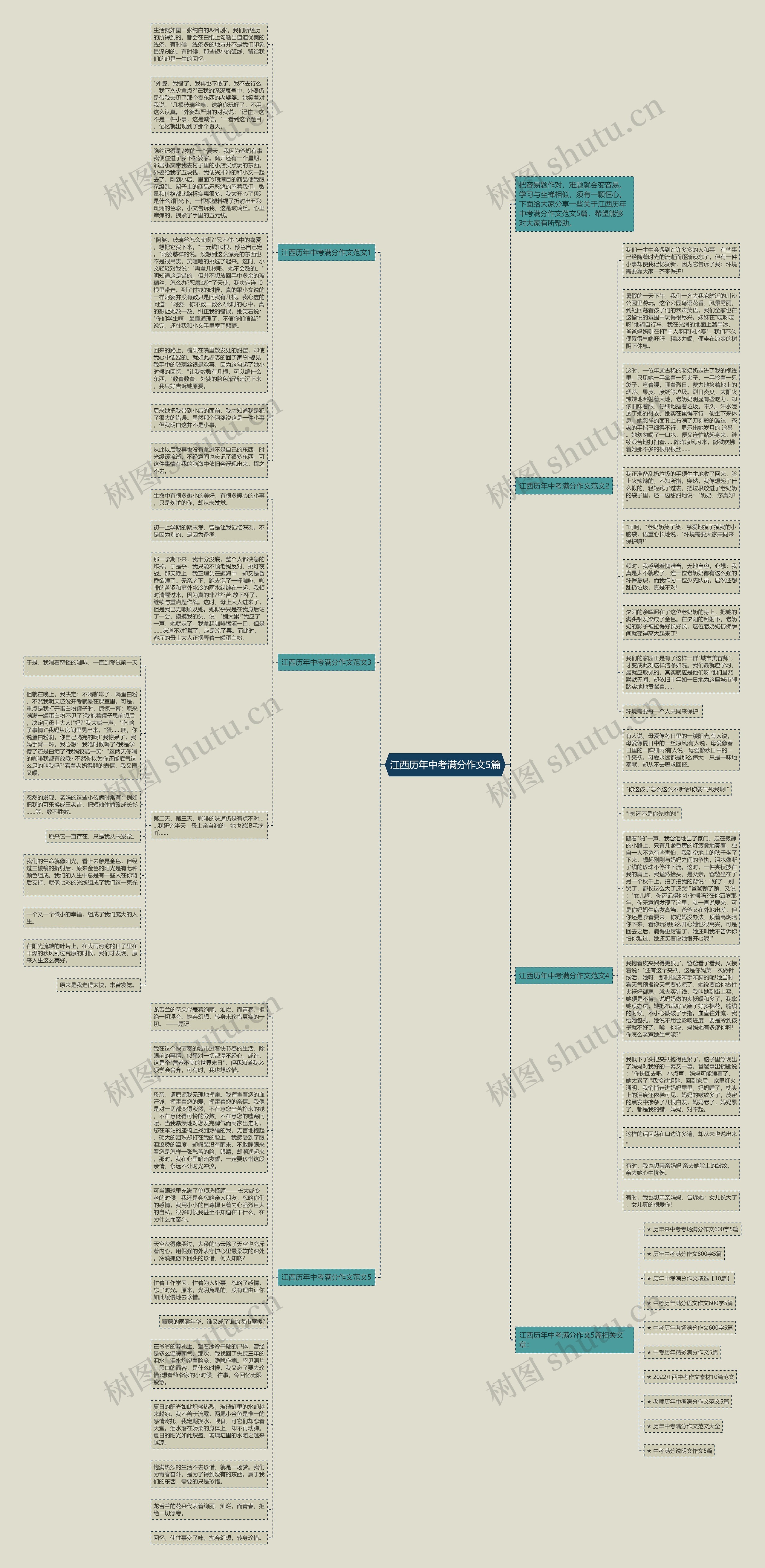江西历年中考满分作文5篇思维导图