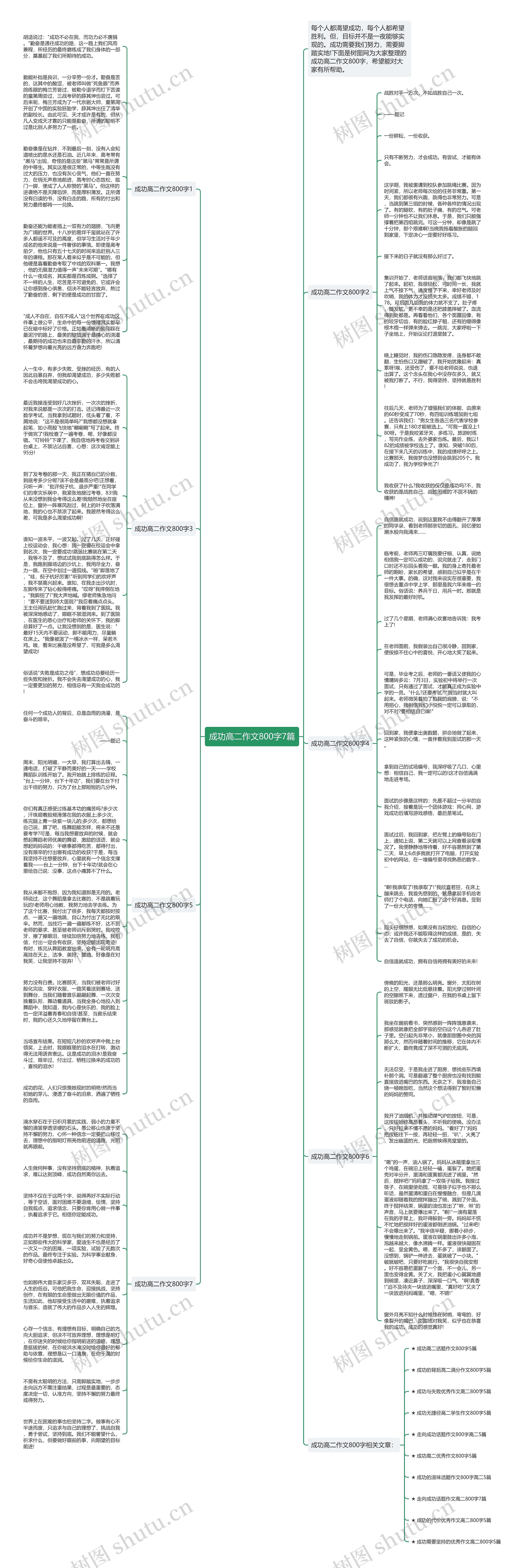 成功高二作文800字7篇思维导图