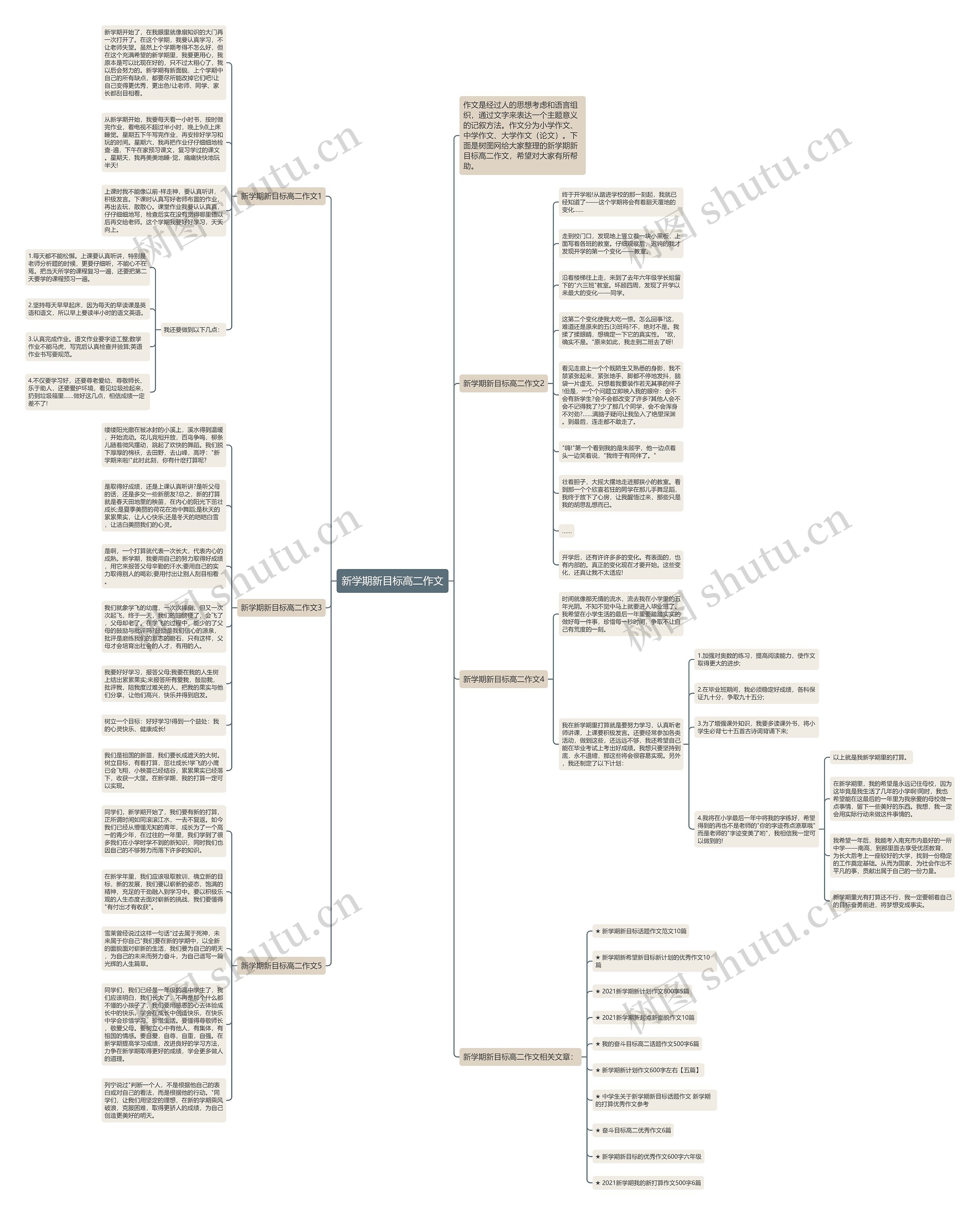 新学期新目标高二作文思维导图