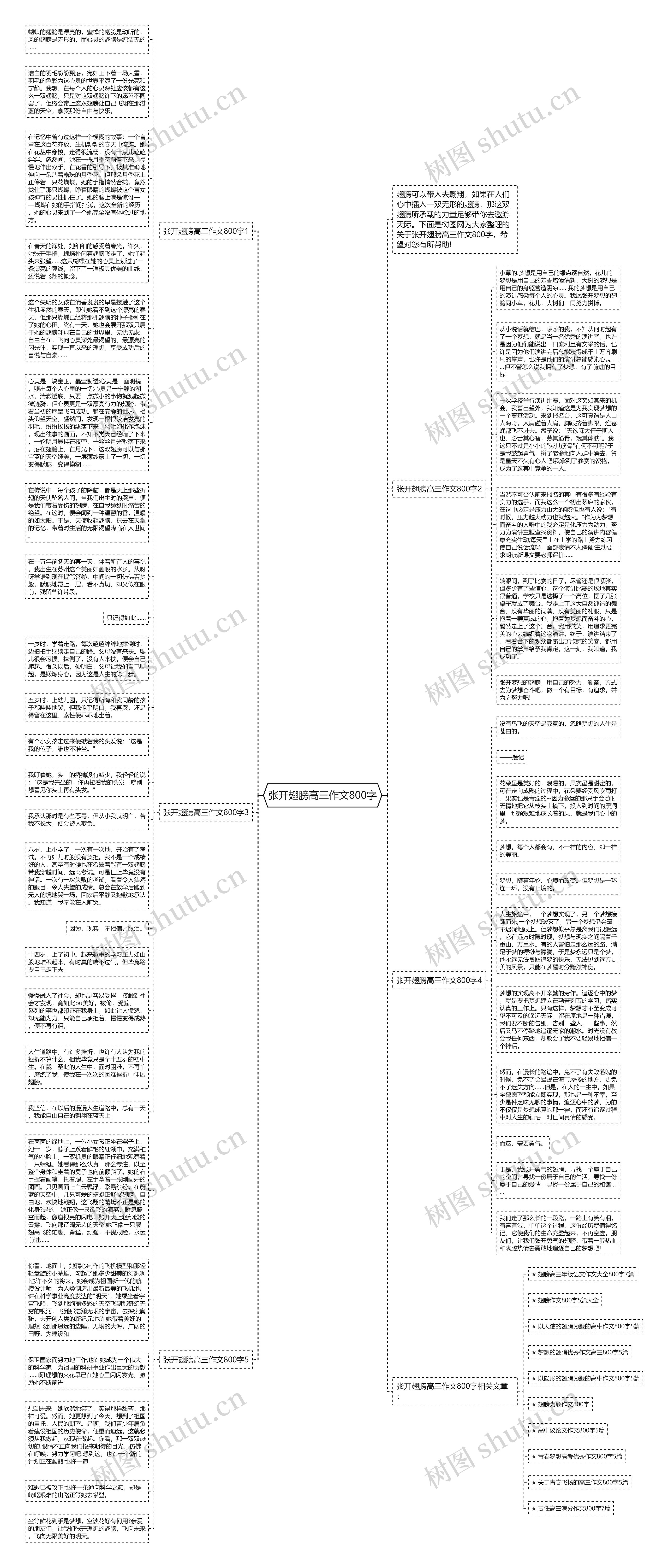 张开翅膀高三作文800字思维导图