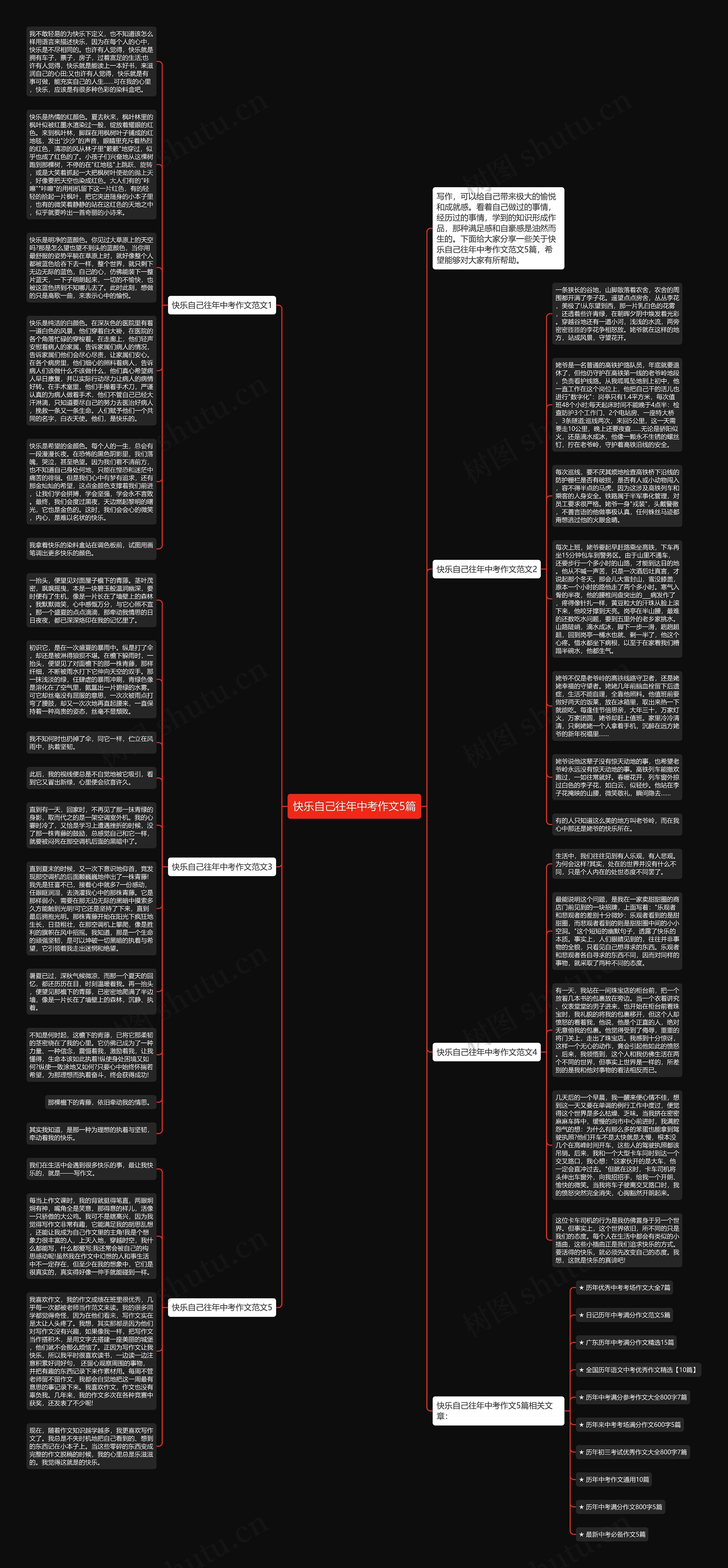 快乐自己往年中考作文5篇思维导图