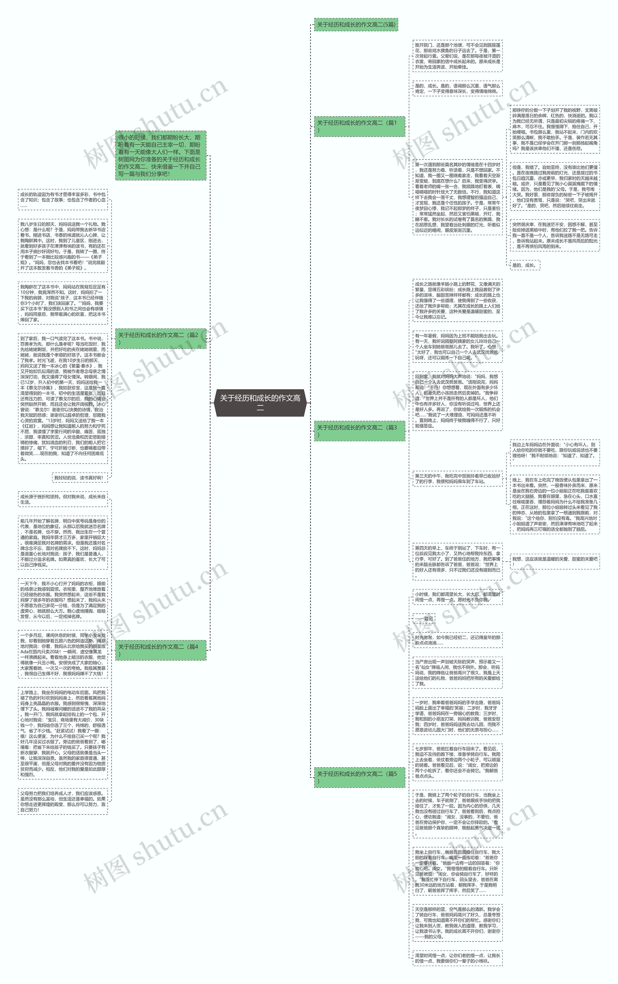 关于经历和成长的作文高二思维导图