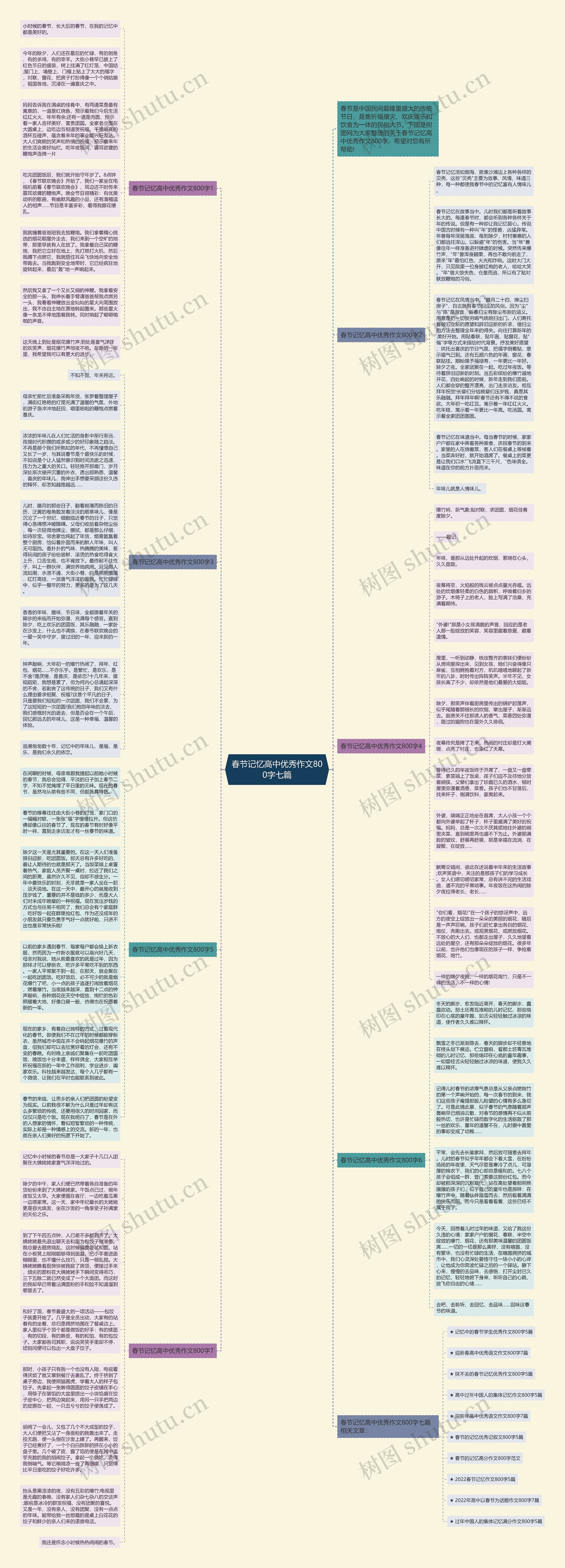 春节记忆高中优秀作文800字七篇思维导图