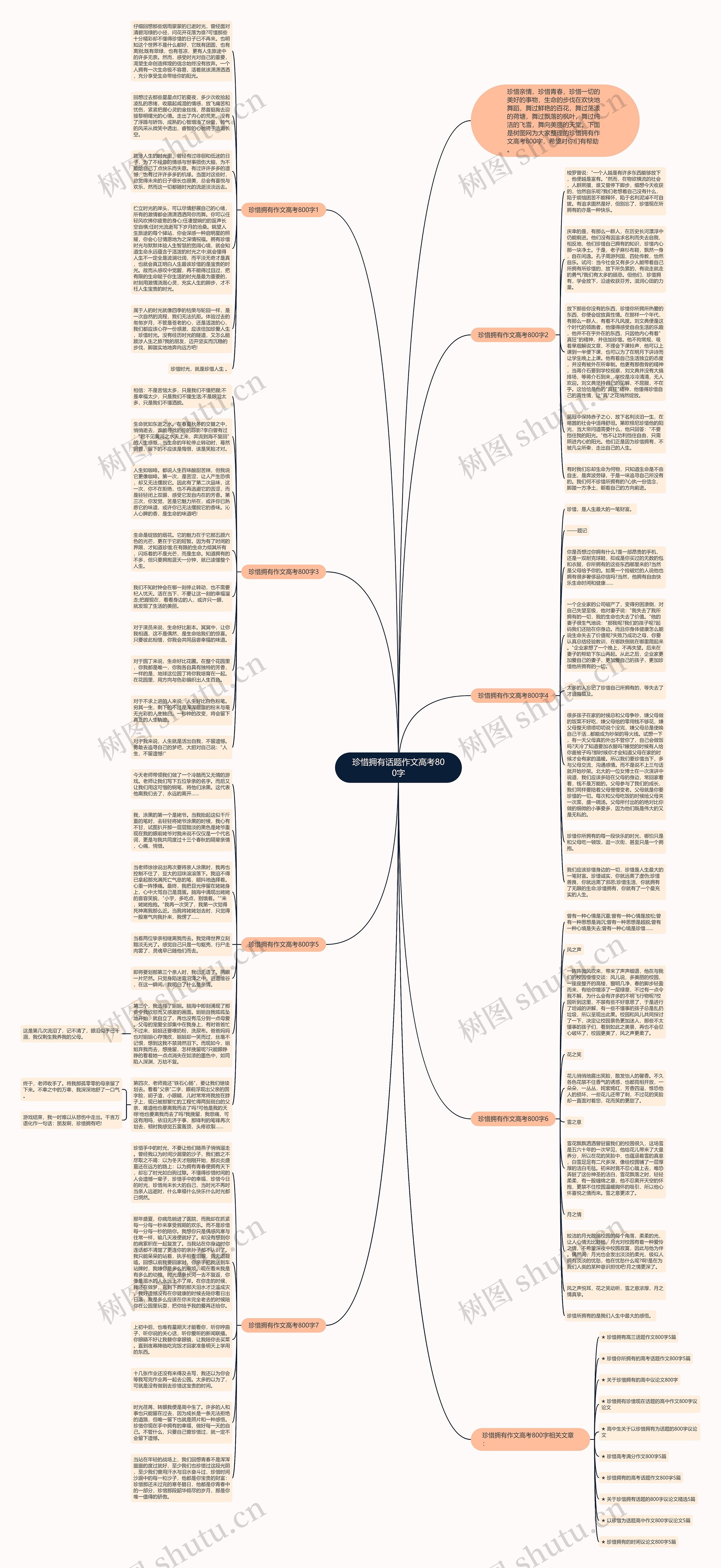 珍惜拥有话题作文高考800字思维导图