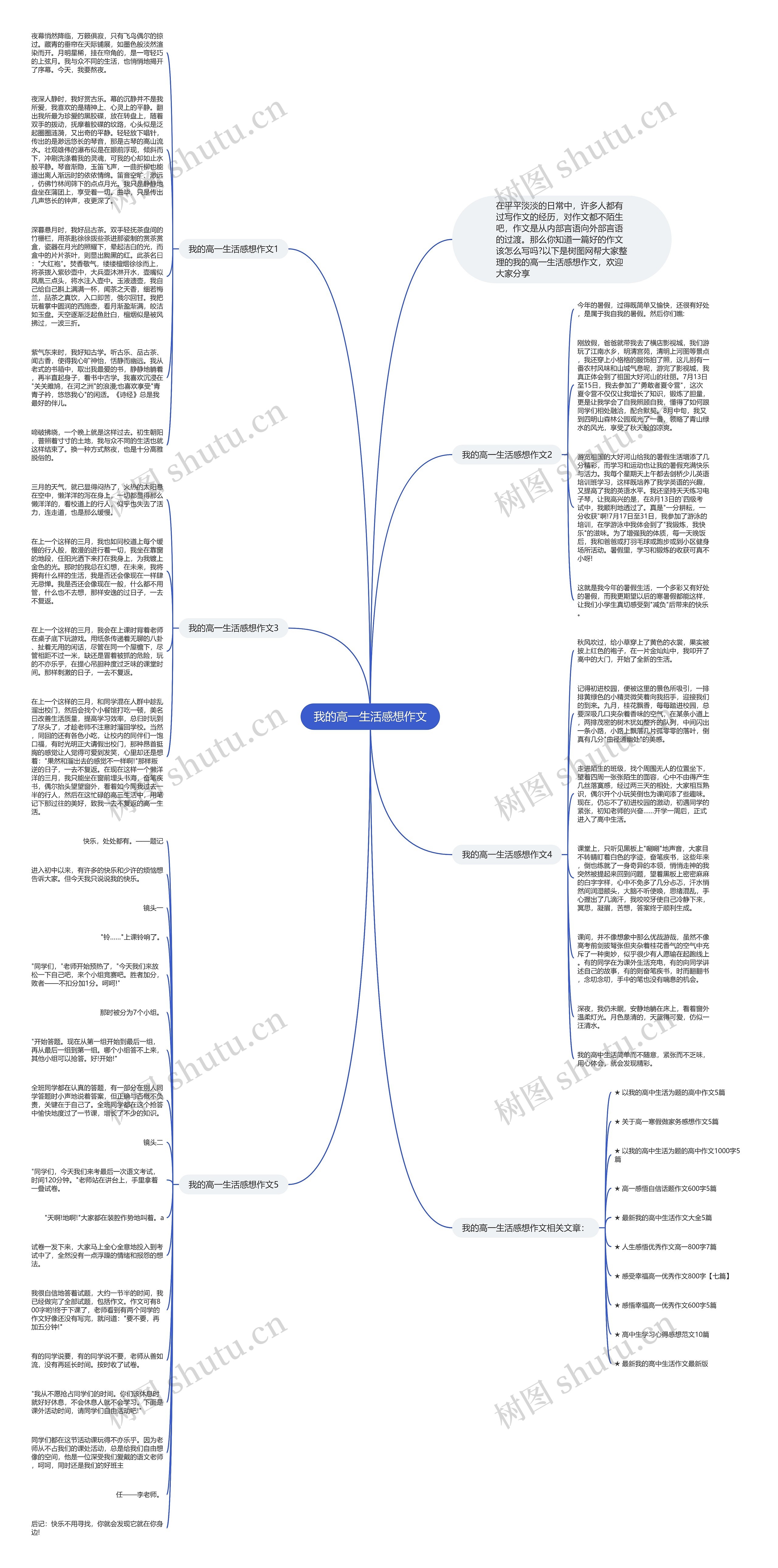 我的高一生活感想作文思维导图