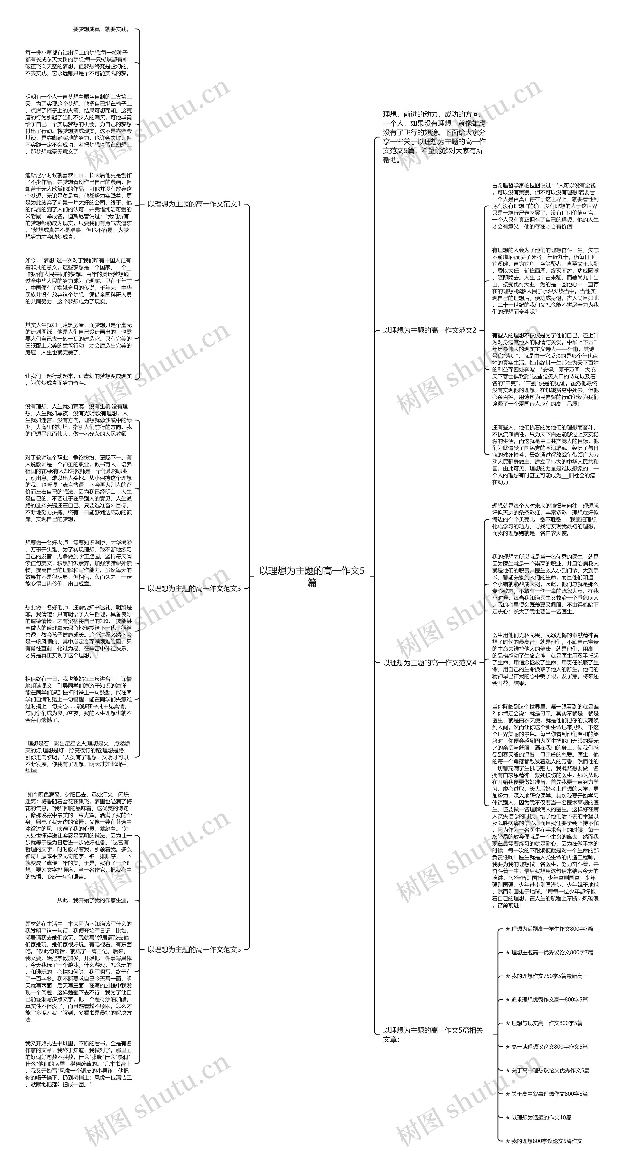 以理想为主题的高一作文5篇思维导图