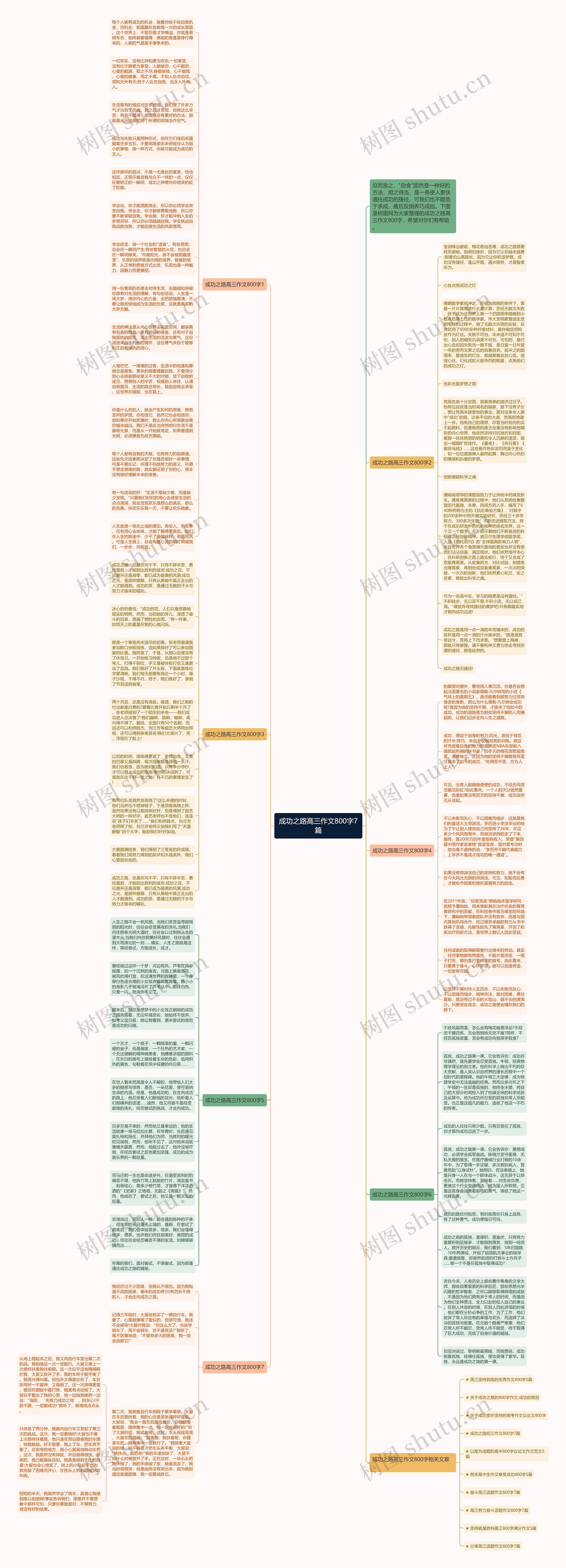 成功之路高三作文800字7篇思维导图