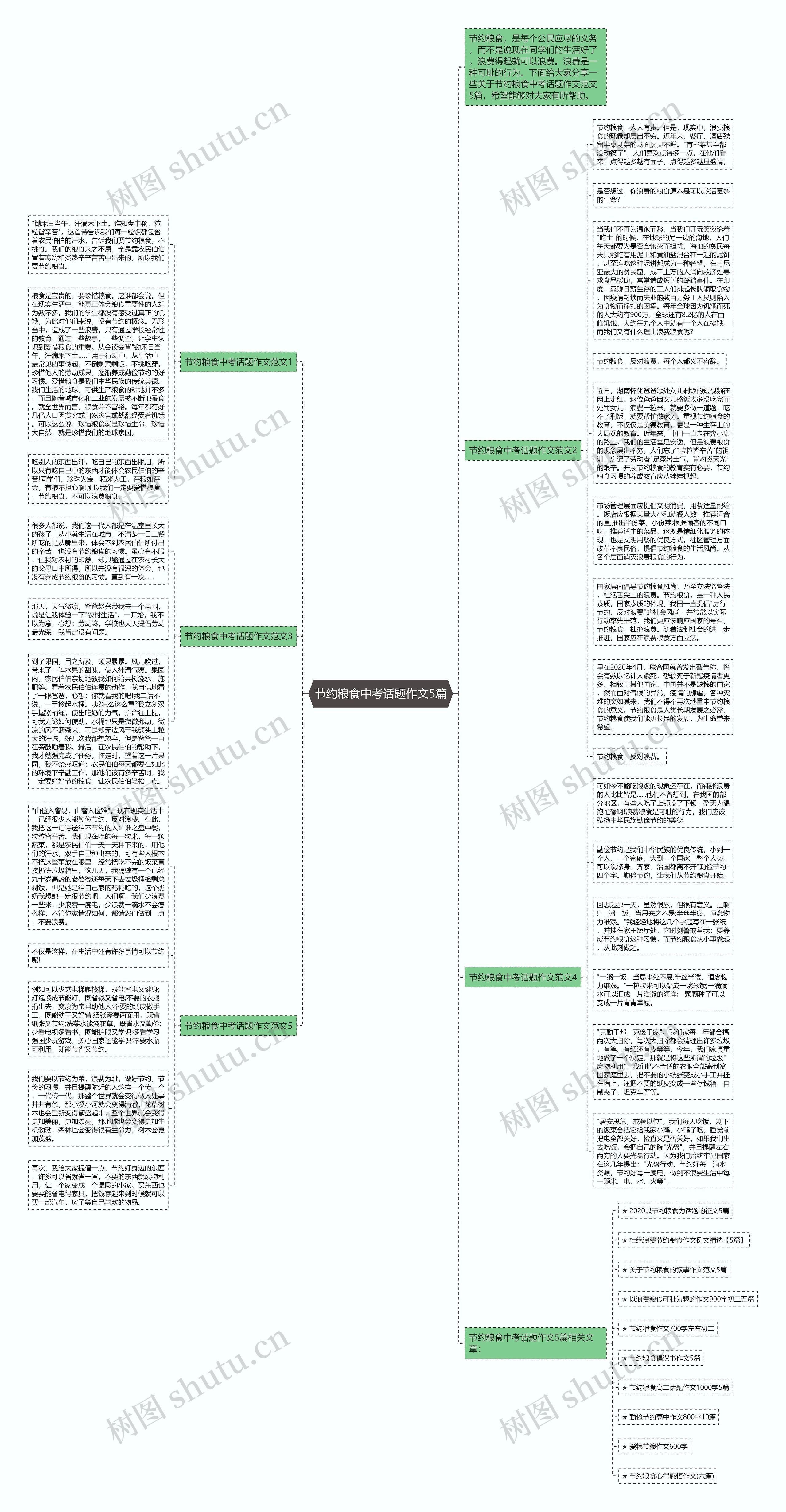 节约粮食中考话题作文5篇思维导图