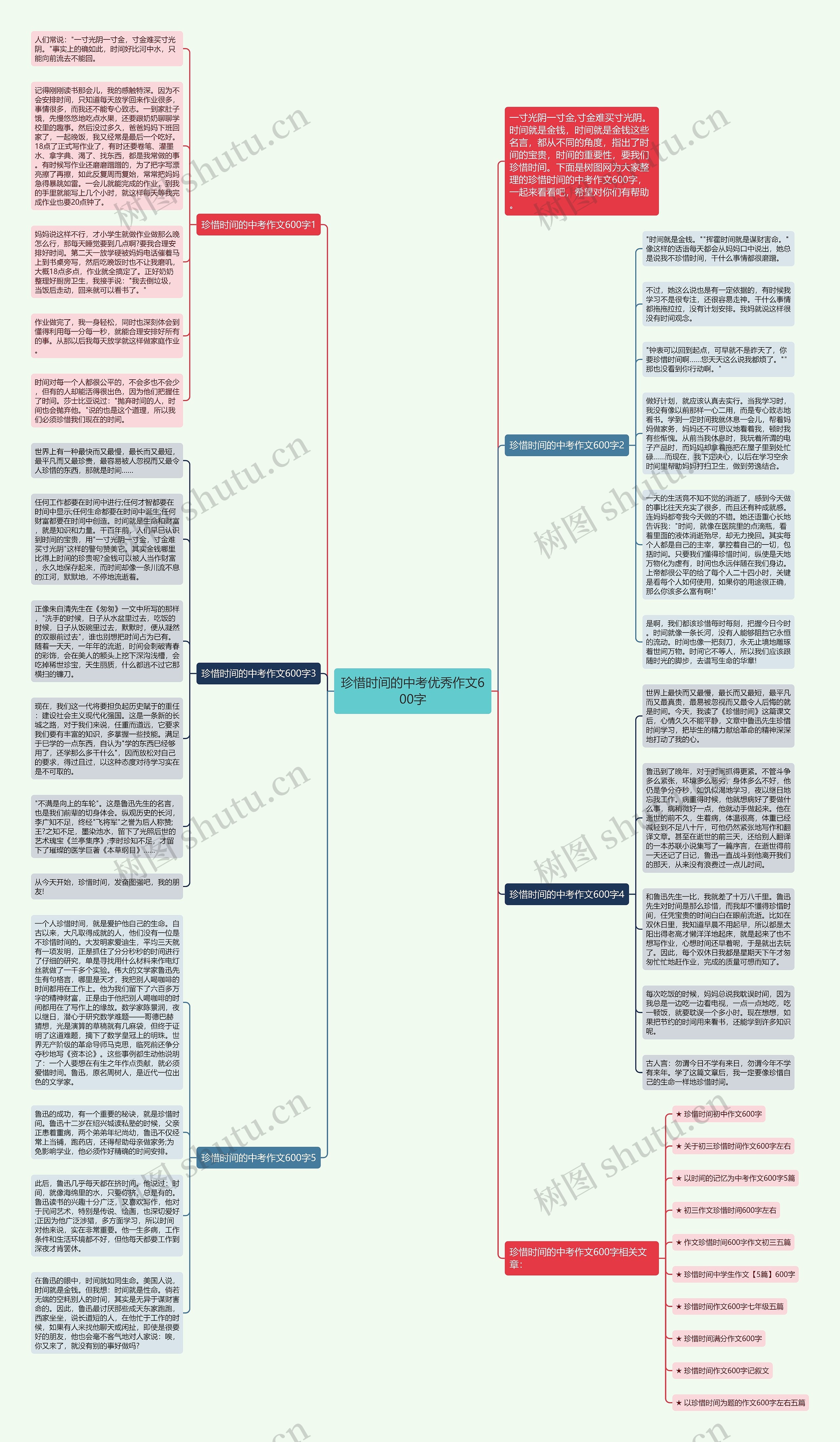 珍惜时间的中考优秀作文600字思维导图