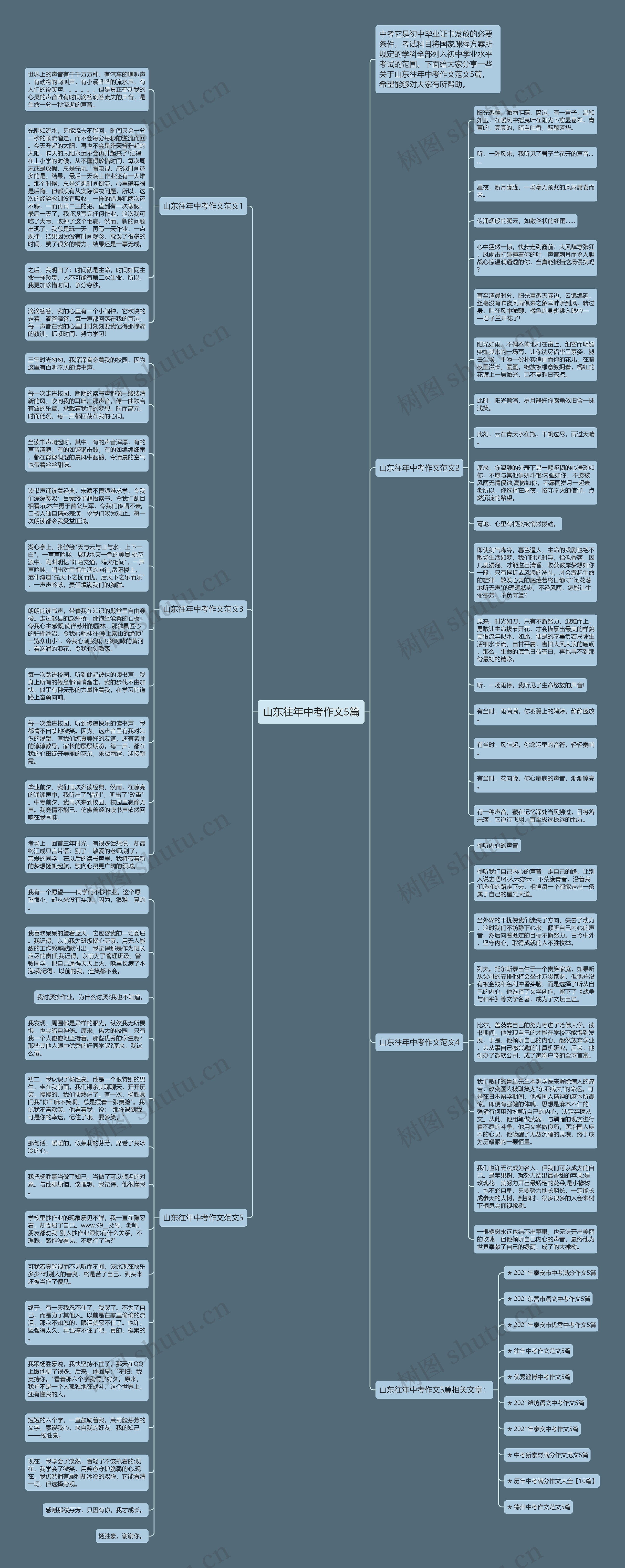 山东往年中考作文5篇思维导图高清图 山东往年中考作文5篇思维导图