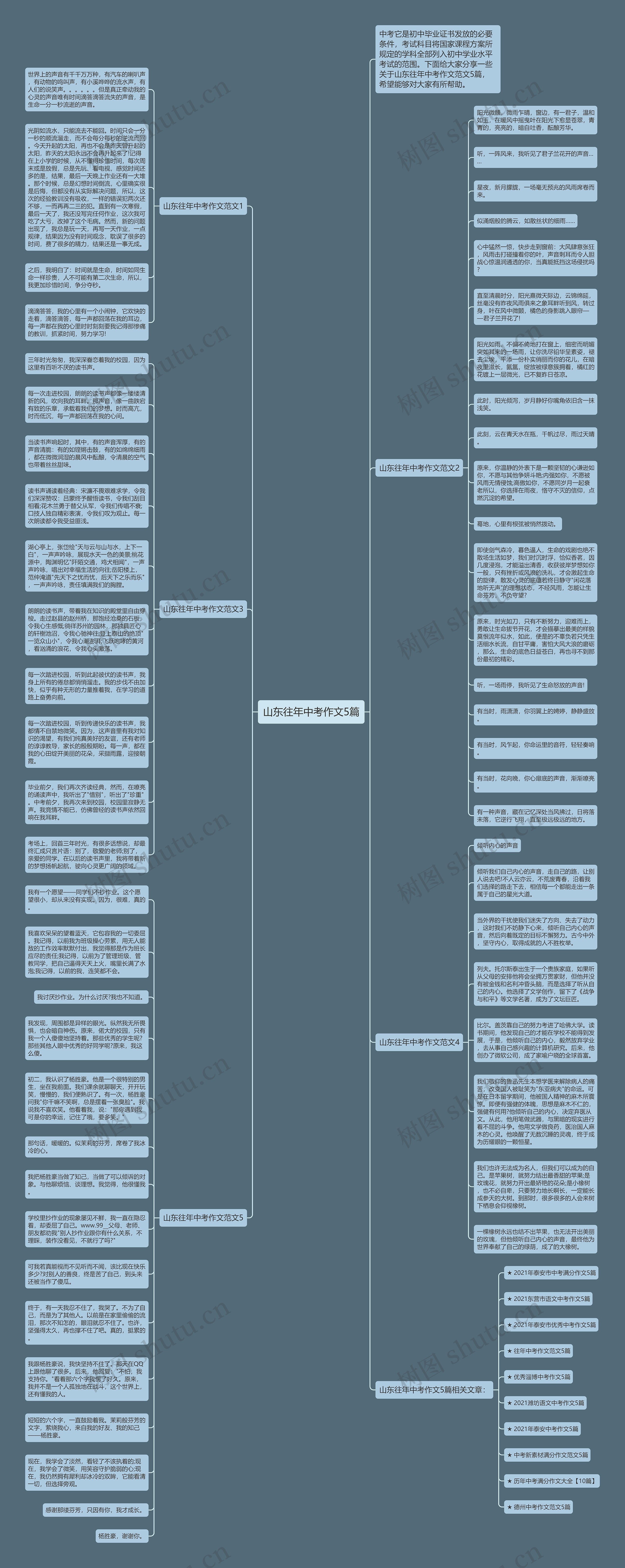山东往年中考作文5篇思维导图