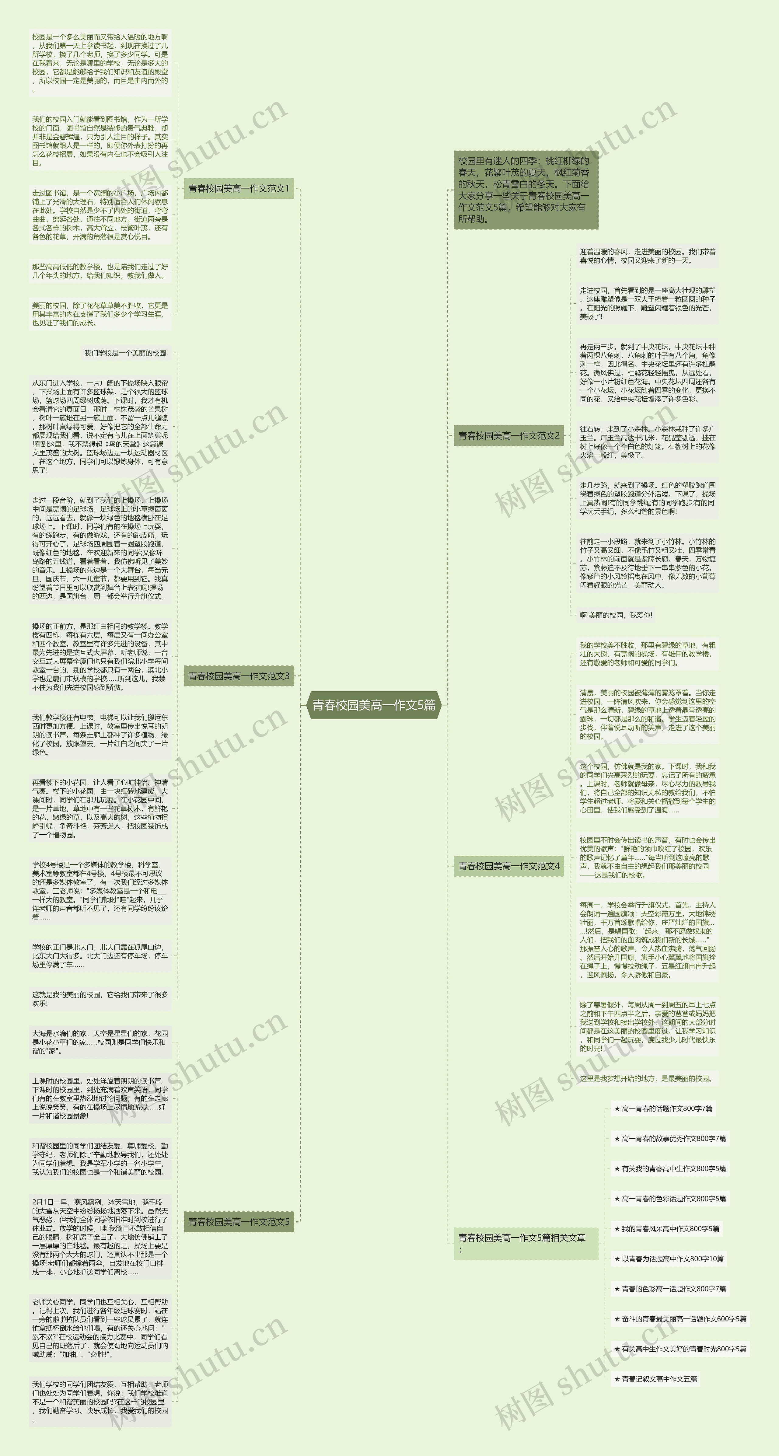 青春校园美高一作文5篇思维导图