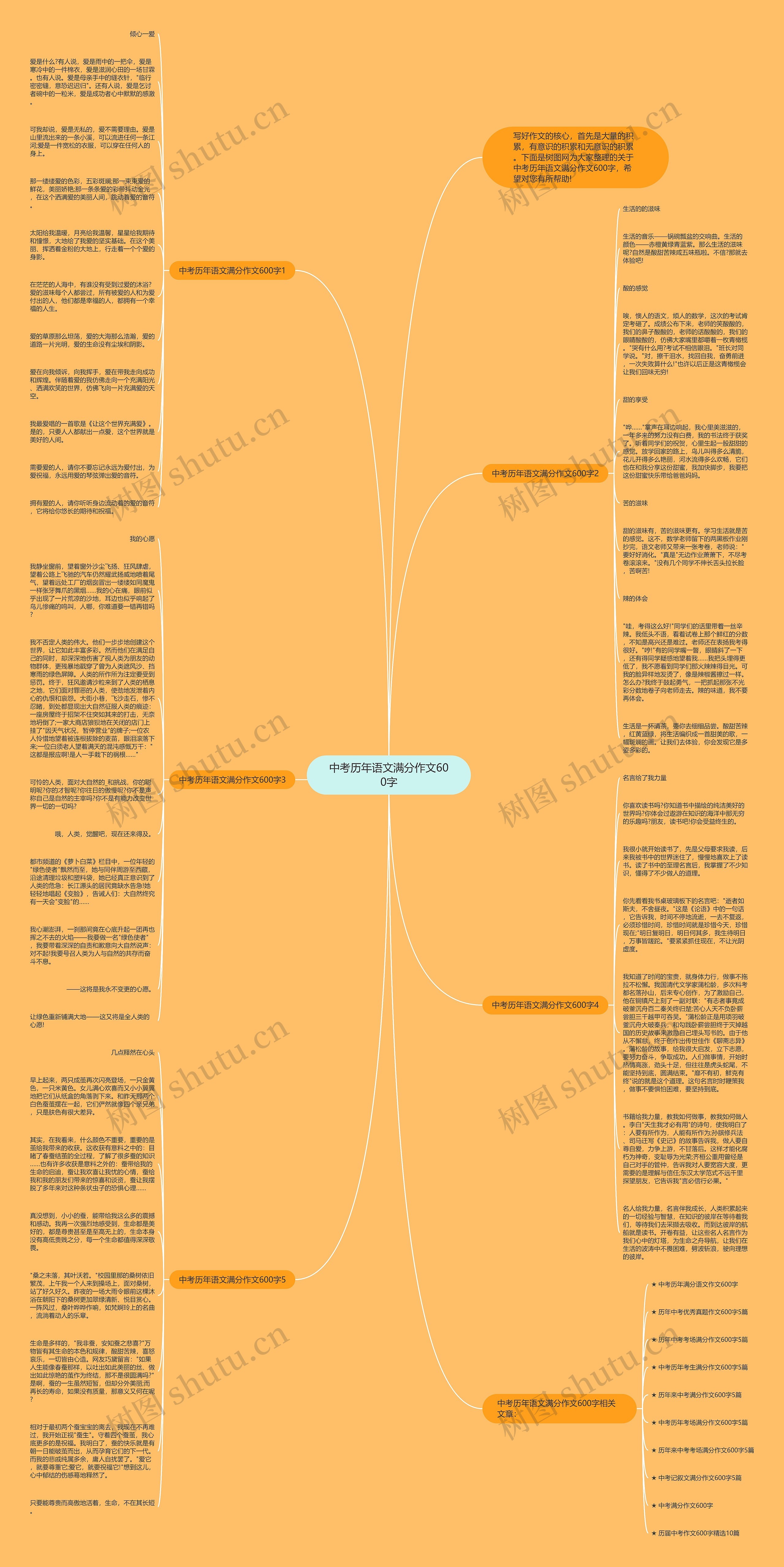 中考历年语文满分作文600字思维导图
