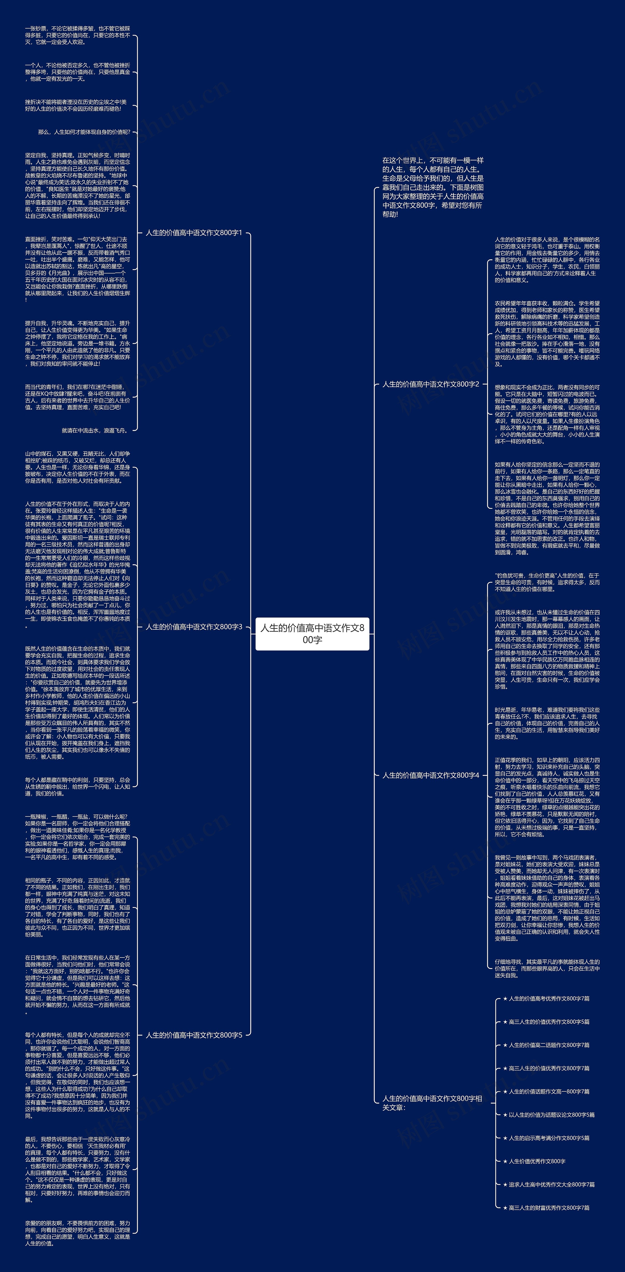 人生的价值高中语文作文800字思维导图