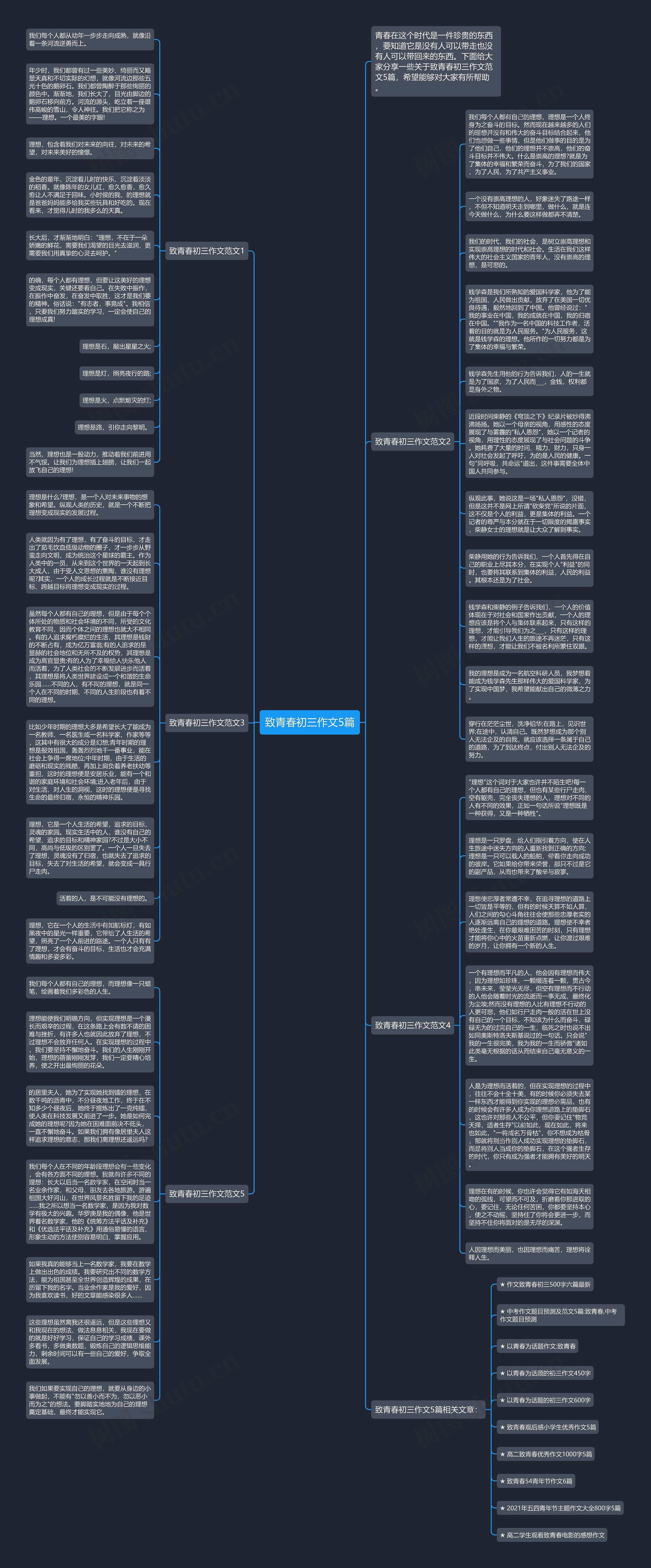 致青春初三作文5篇思维导图