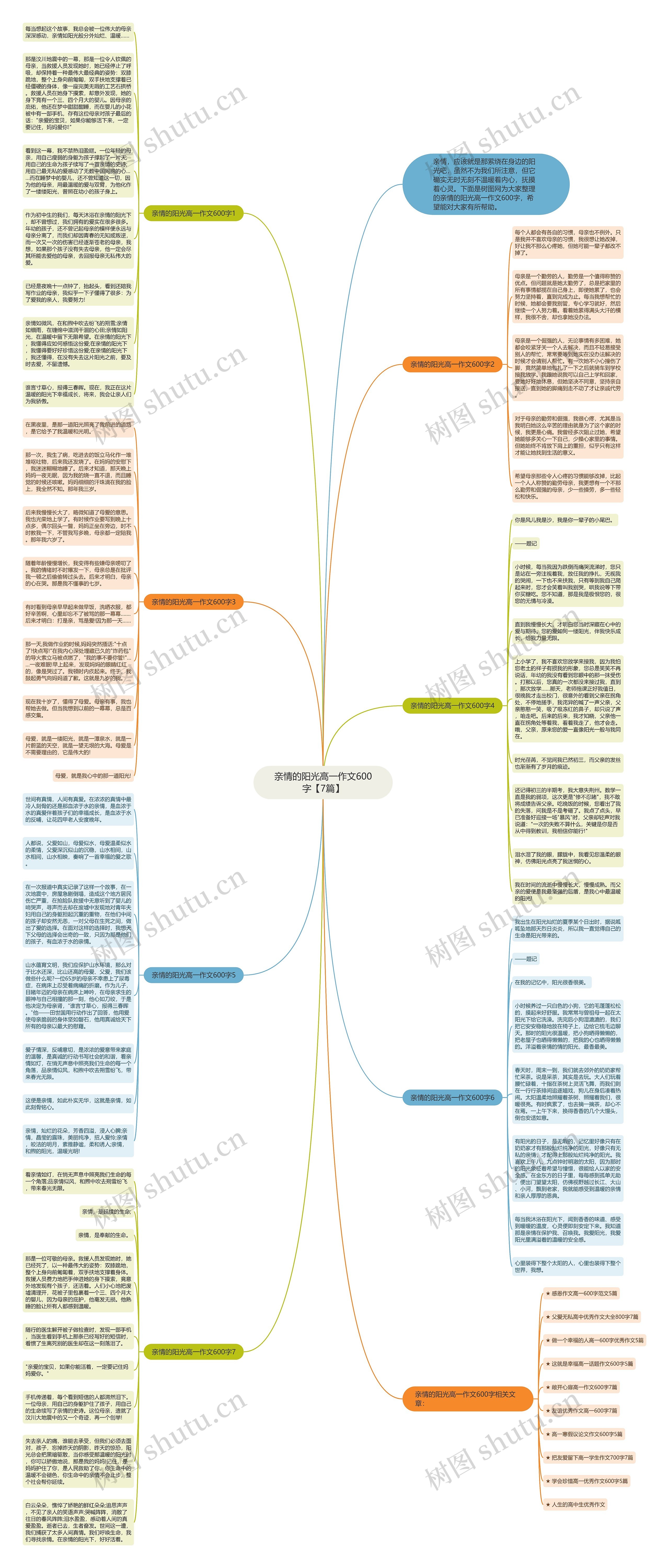 亲情的阳光高一作文600字【7篇】思维导图