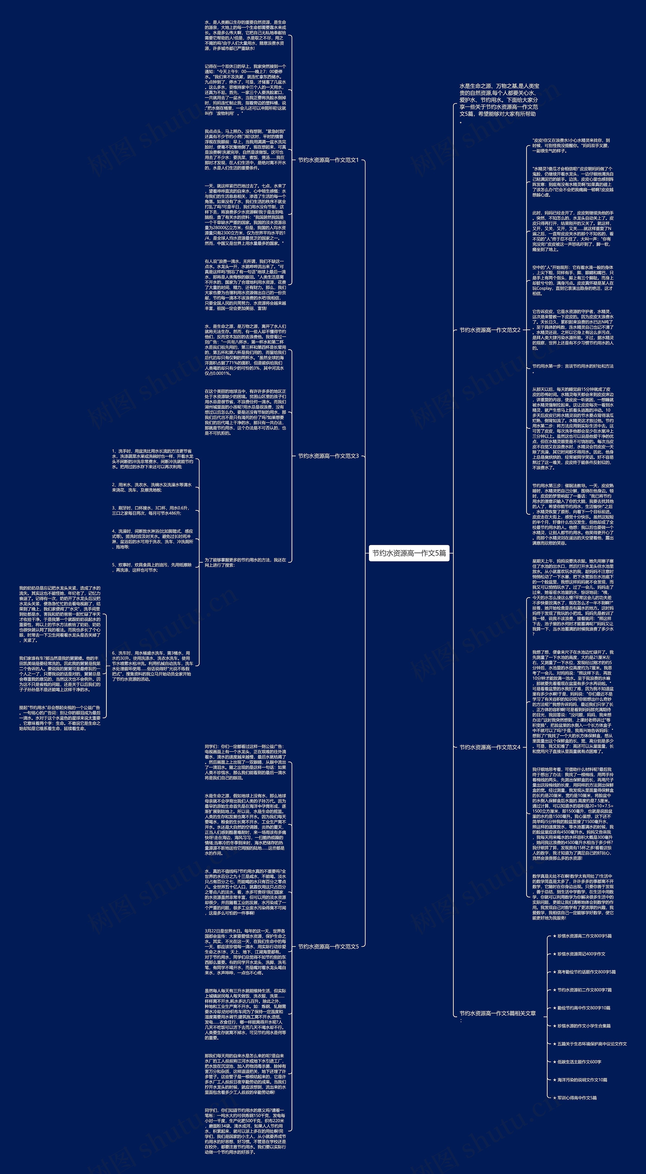 节约水资源高一作文5篇思维导图