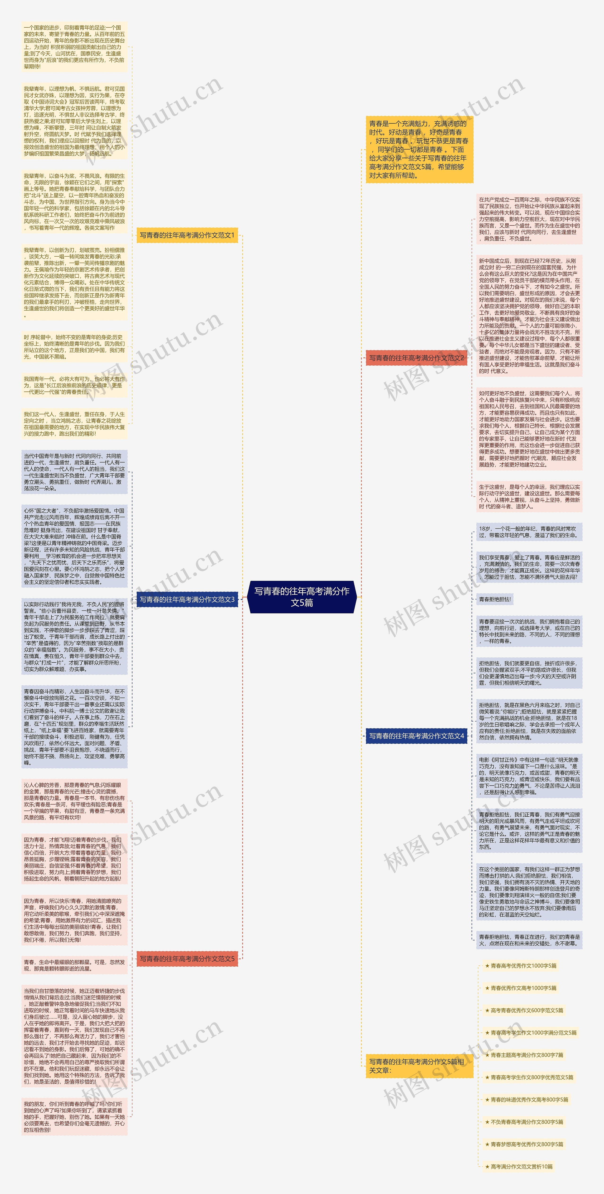 写青春的往年高考满分作文5篇思维导图