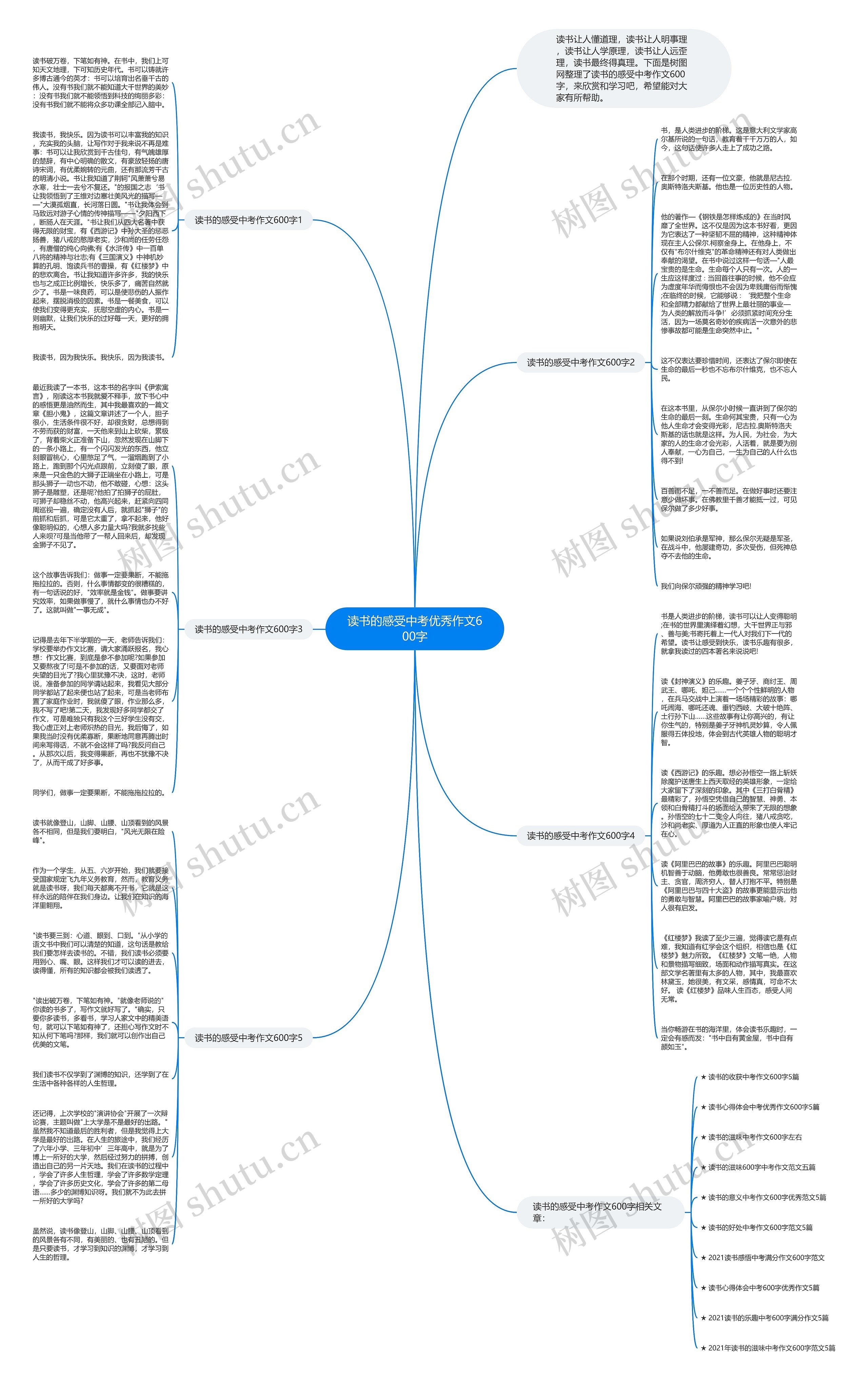 读书的感受中考优秀作文600字思维导图