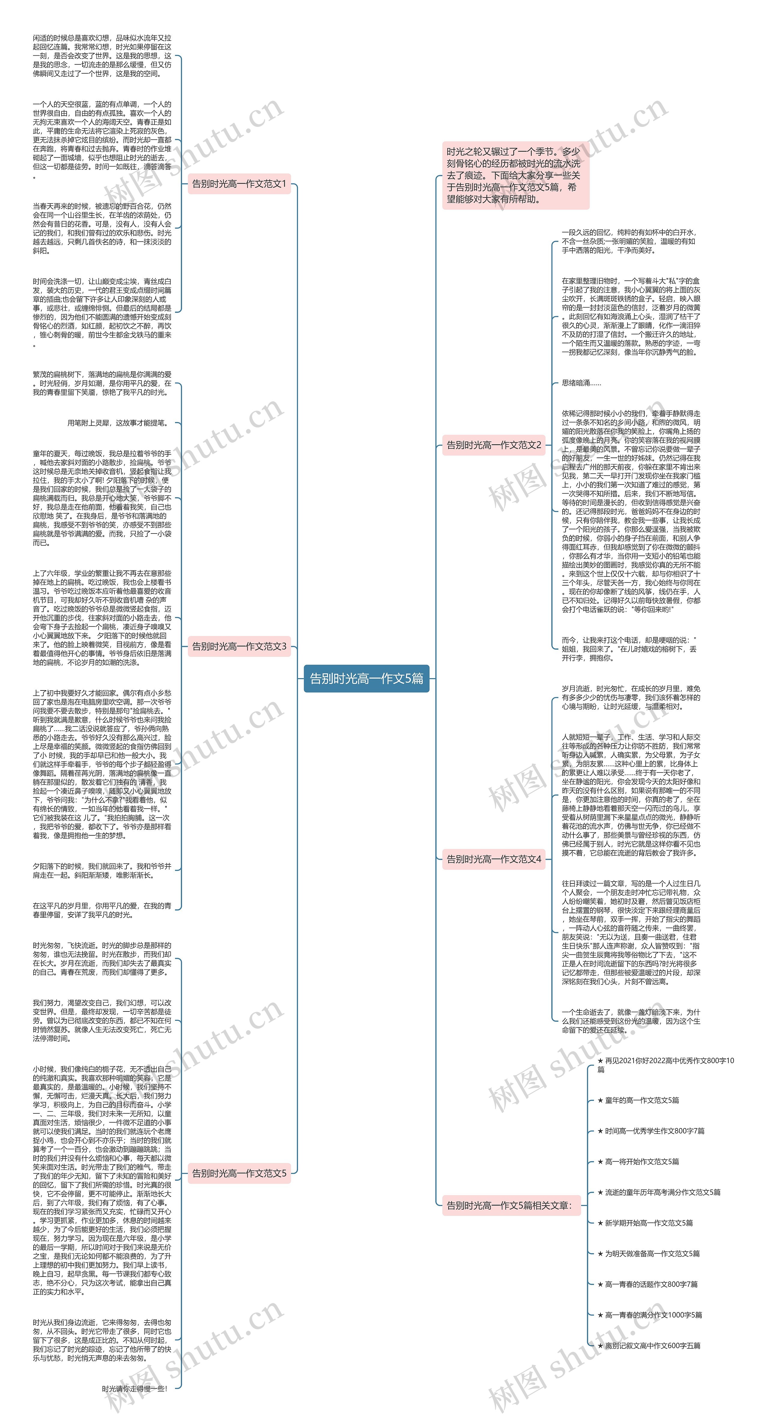 告别时光高一作文5篇思维导图