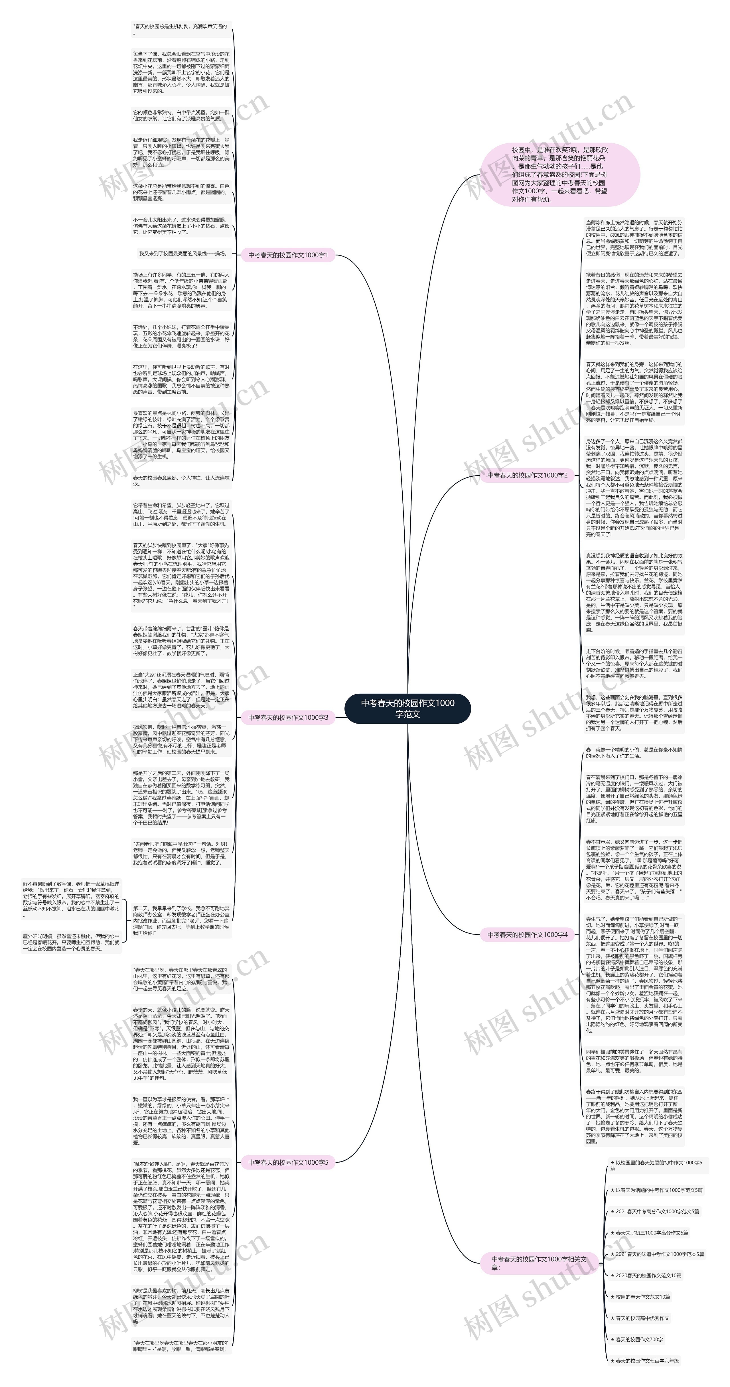 中考春天的校园作文1000字范文思维导图