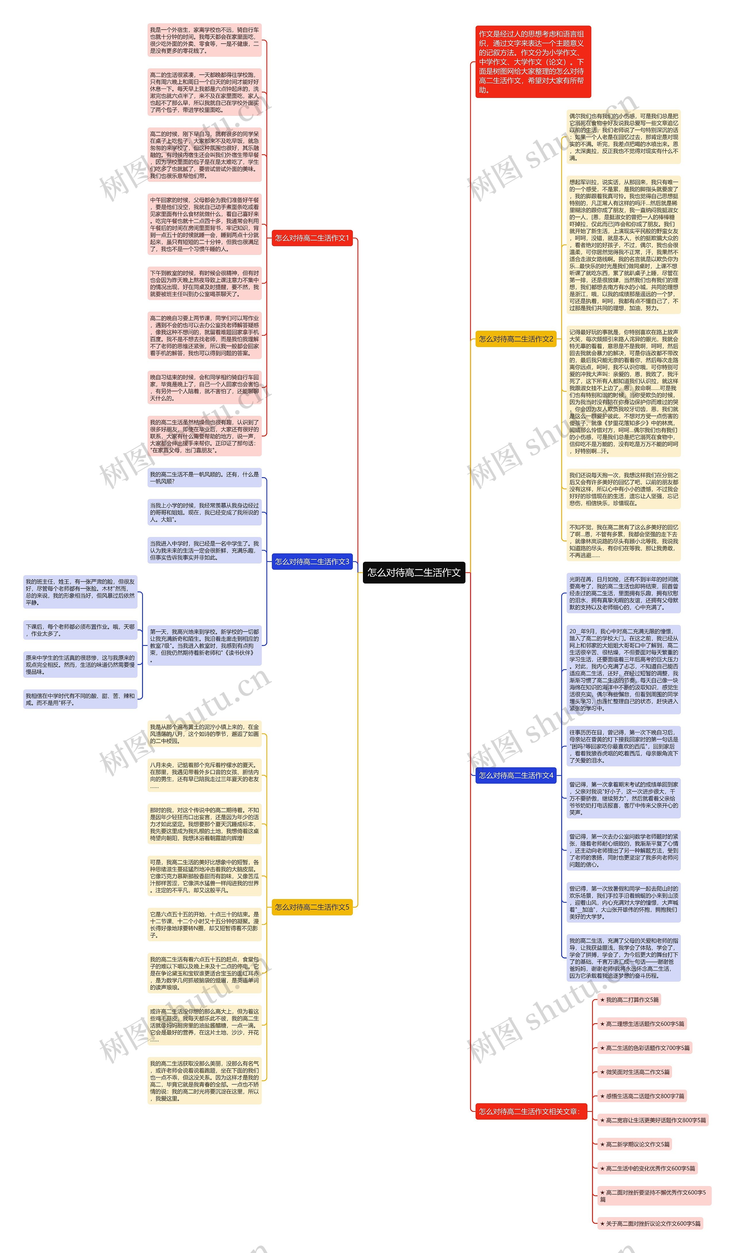 怎么对待高二生活作文思维导图